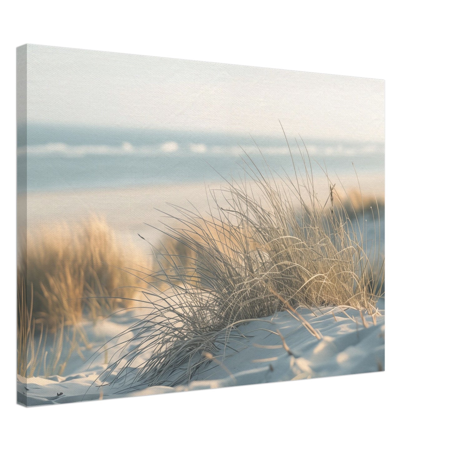 Sand und Schilf Leinwand 50x70 cm - Pixara