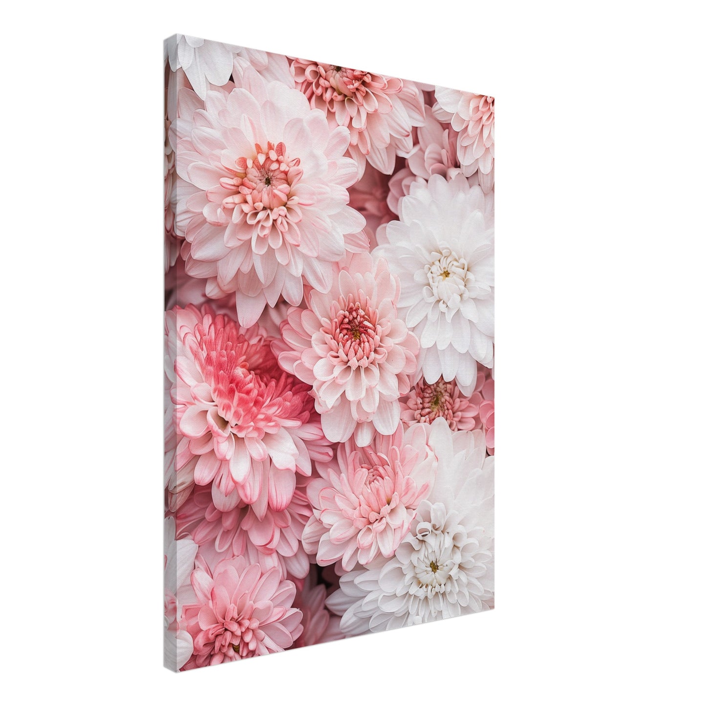 Chrysanthemen-Pracht Leinwand 50x70 cm - Pixara