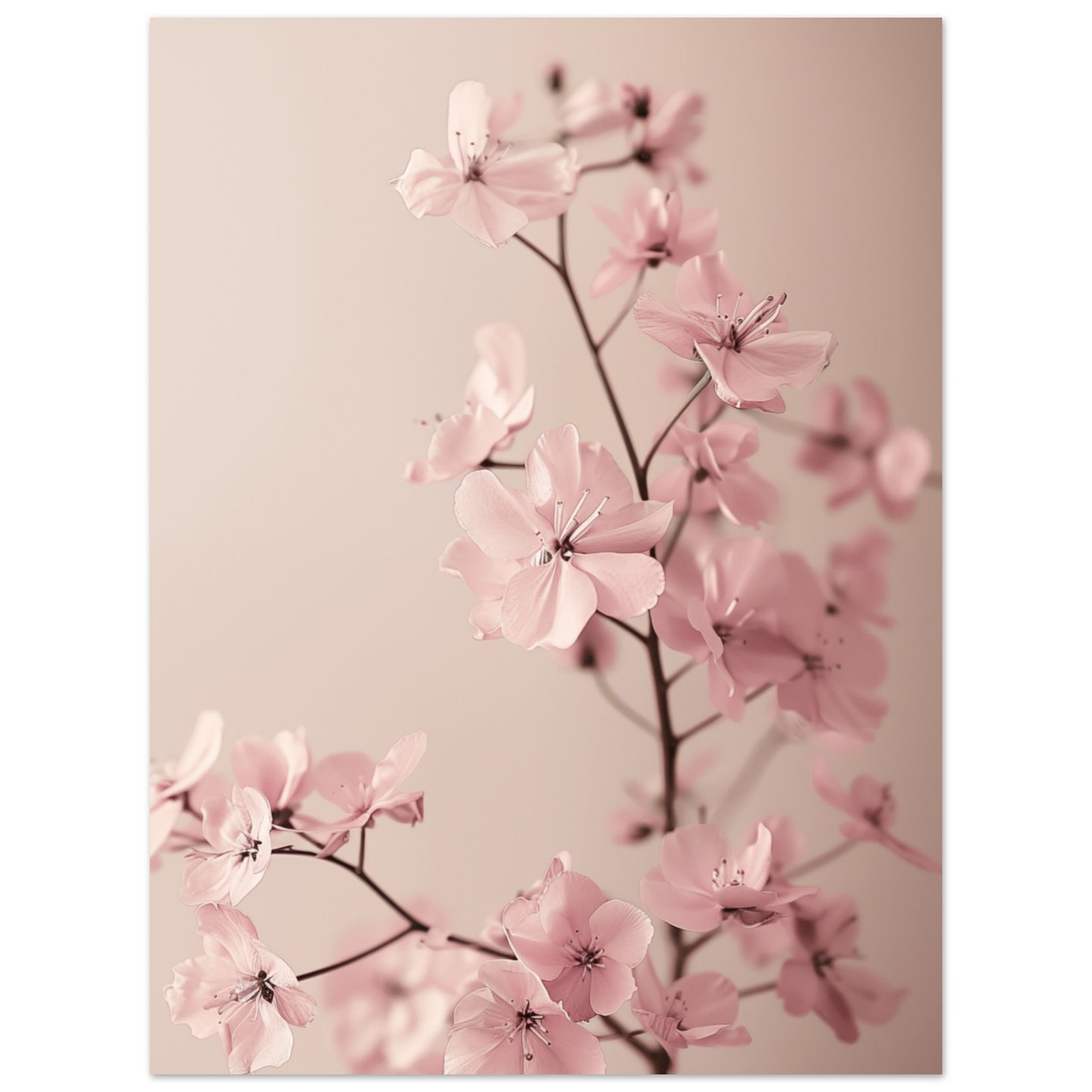 Zarte Blüten 30x40 cm - Pixara