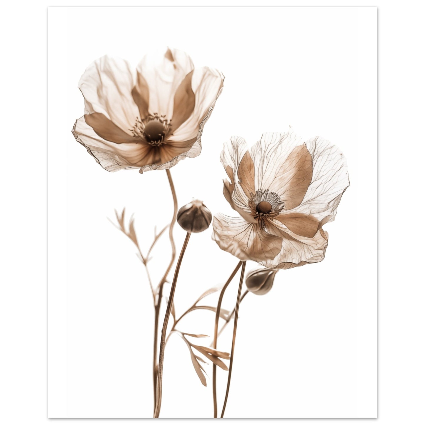 Whispering Petals Poster 20x25 cm - Pixara