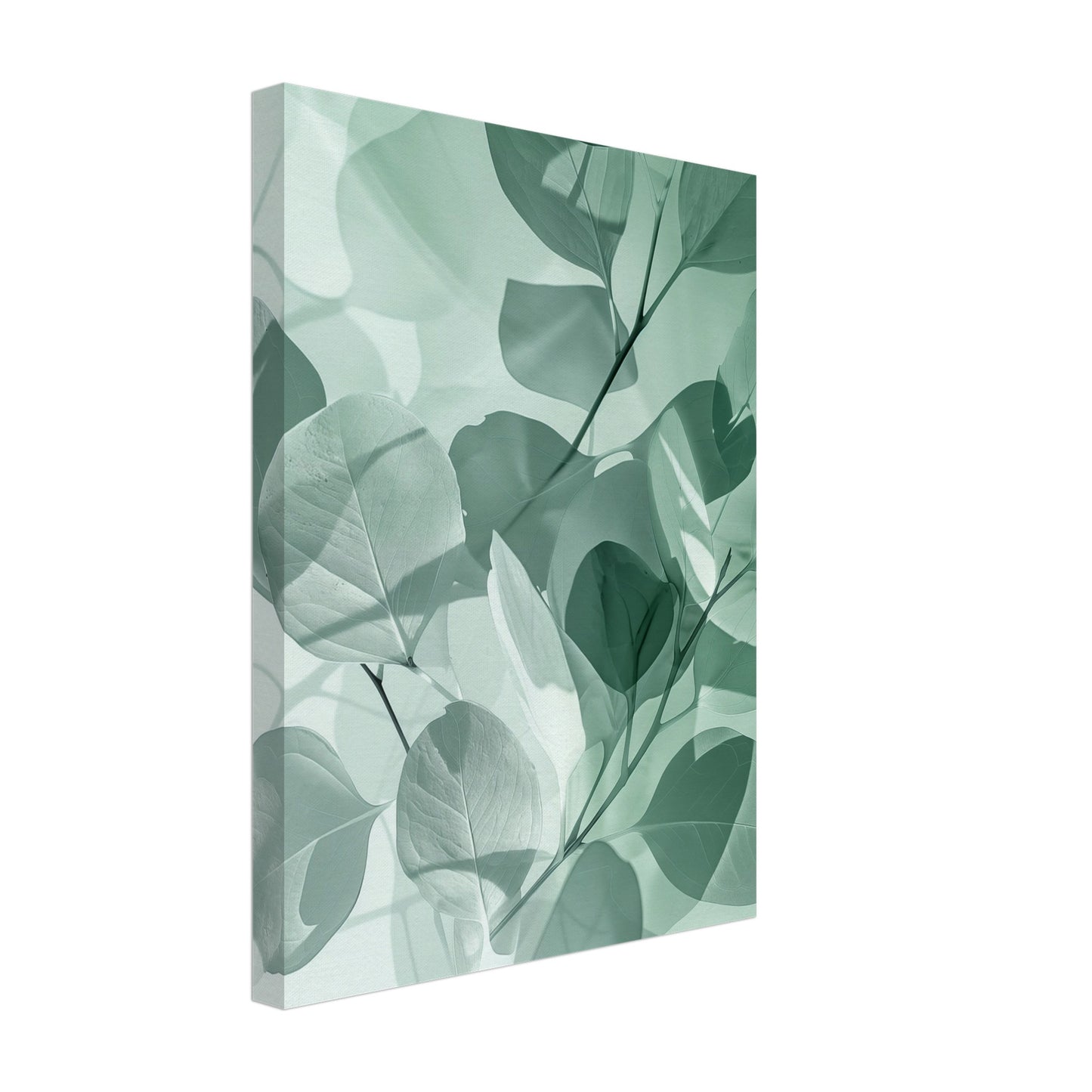 Eukalyptus-Träume Leinwand 30x40 cm - Pixara