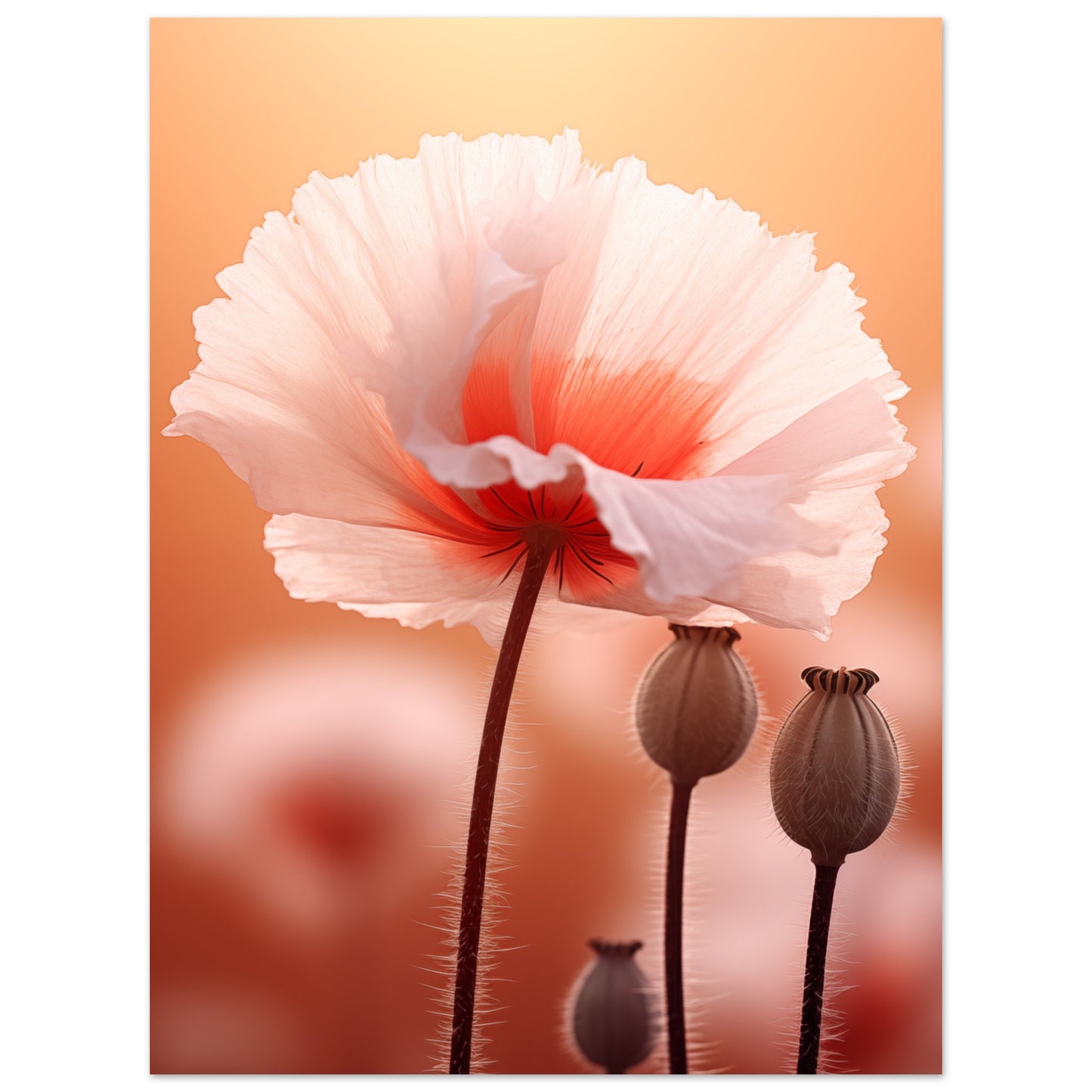 Sanfte Entfaltung Poster 30x40 cm - Pixara