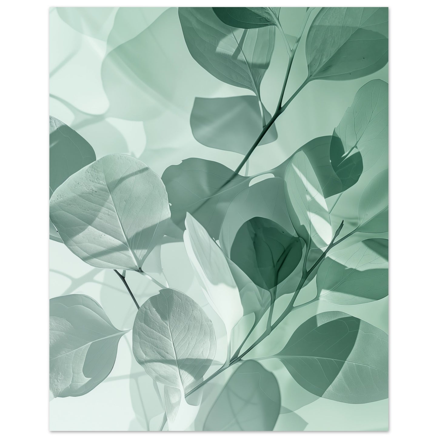 Eukalyptus-Träume Poster 20x25 cm - Pixara