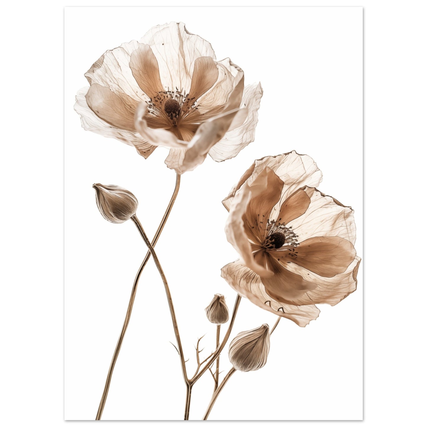 Delicate Dried Blooms Poster 13x18 cm - Pixara