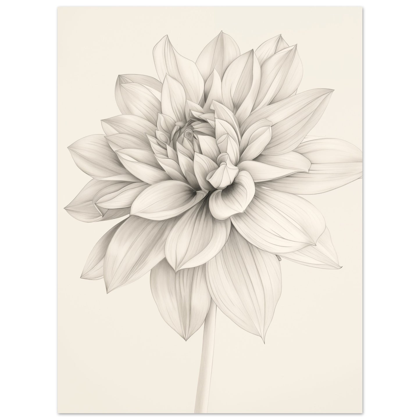 Dahlienzauber 30x40 cm - Pixara