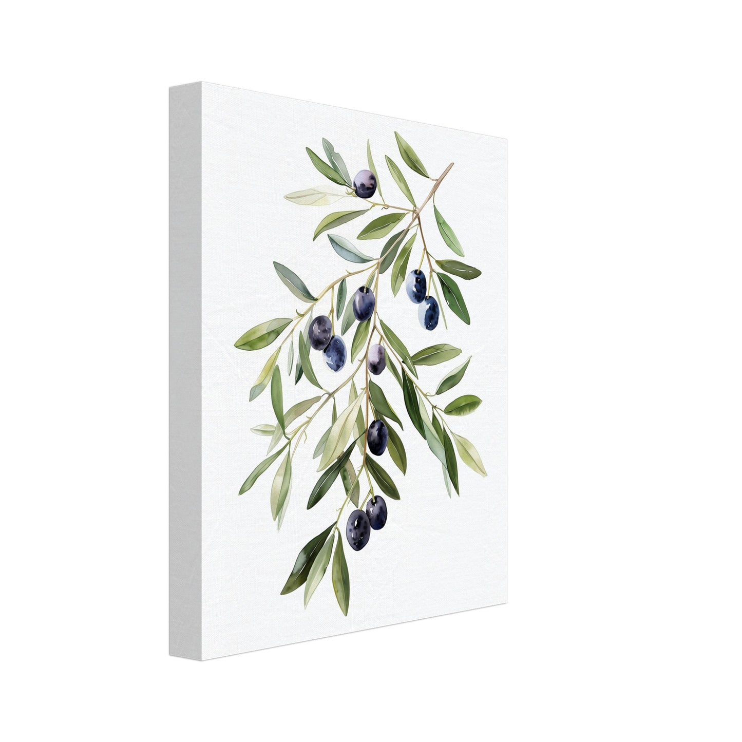 Olive Branch Serenity Leinwand 20x25 cm - Pixara