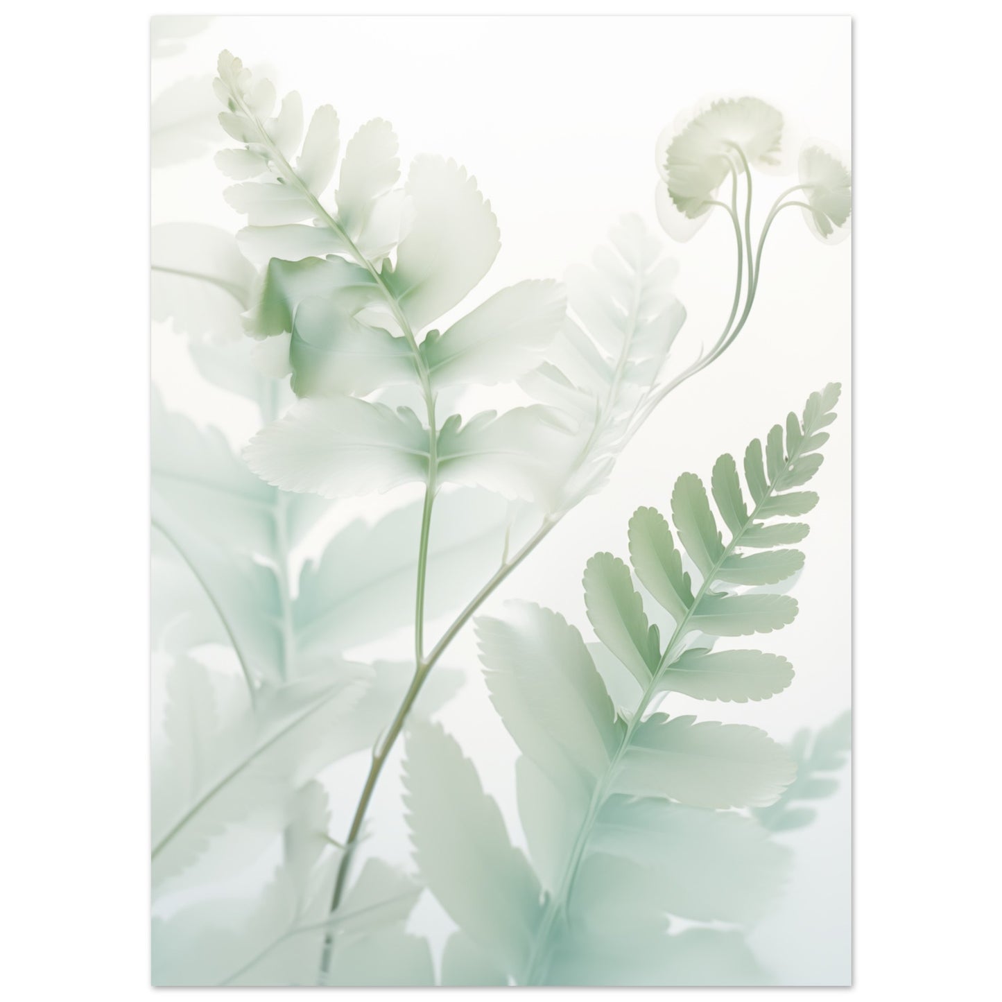 Farn Poster 13x18 cm - Pixara