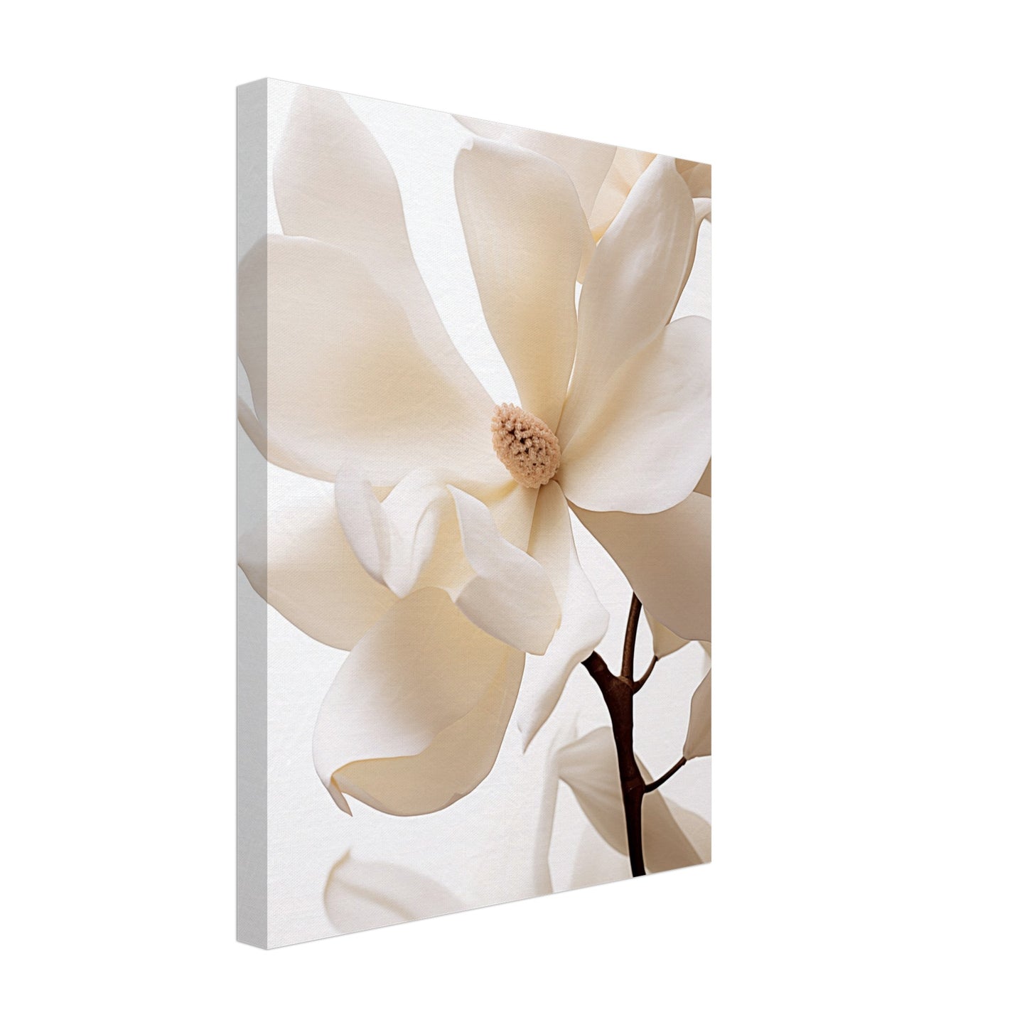 Reine Eleganz Leinwand 30x40 cm - Pixara