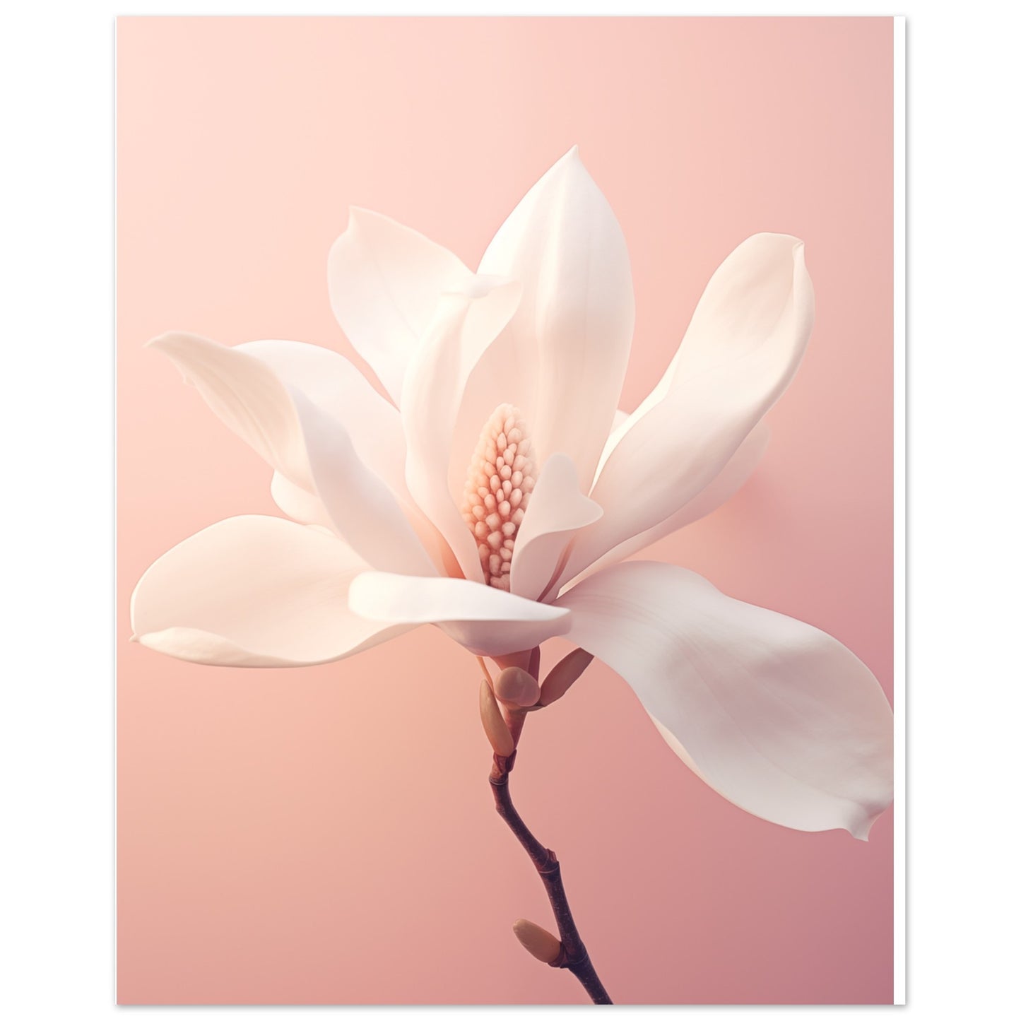 Frühlingserwachen Poster 20x25 cm - Pixara