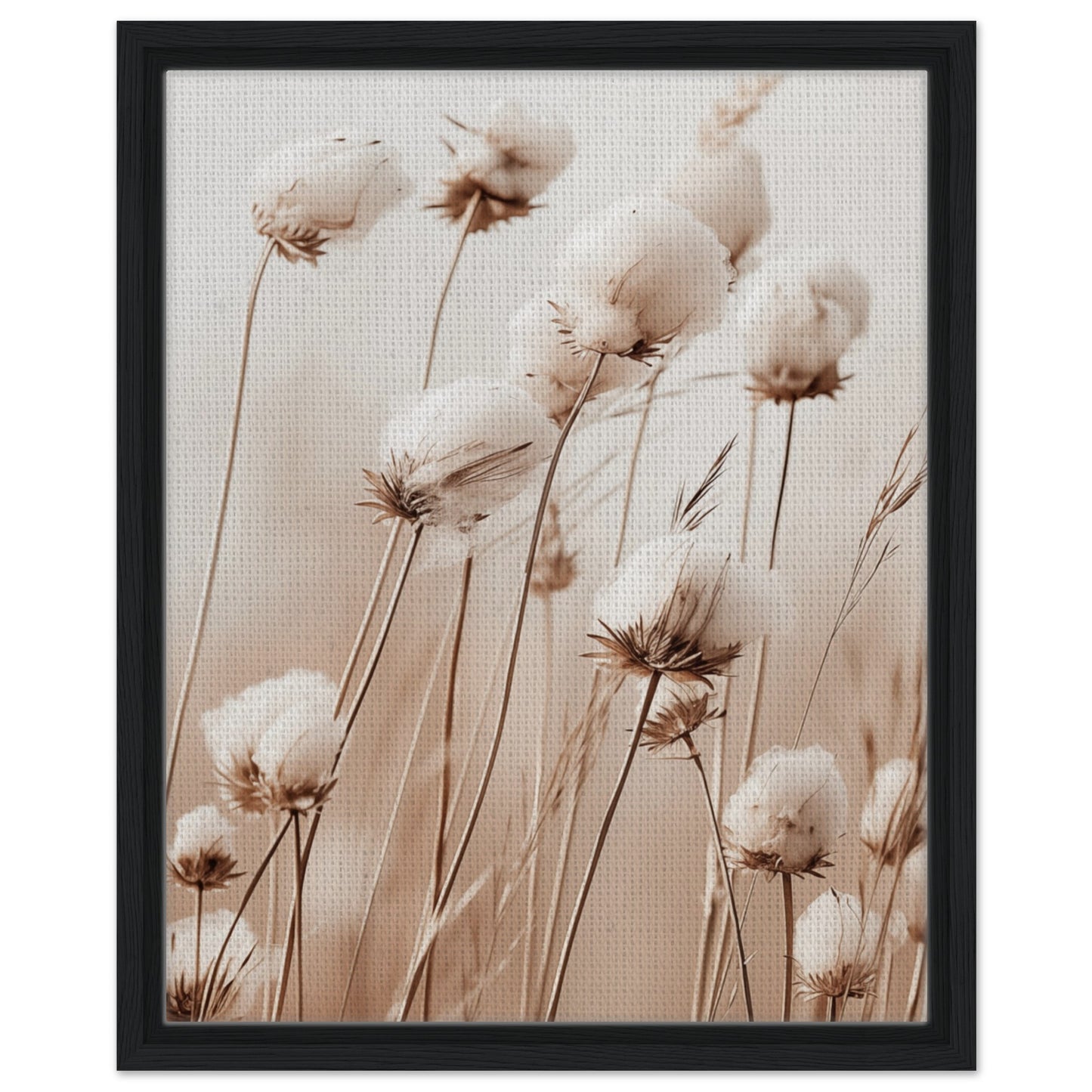 Flauschige Baumwollblumen | Gerahmte Leinwand Schwarzer Rahmen 40x50 cm - Pixara