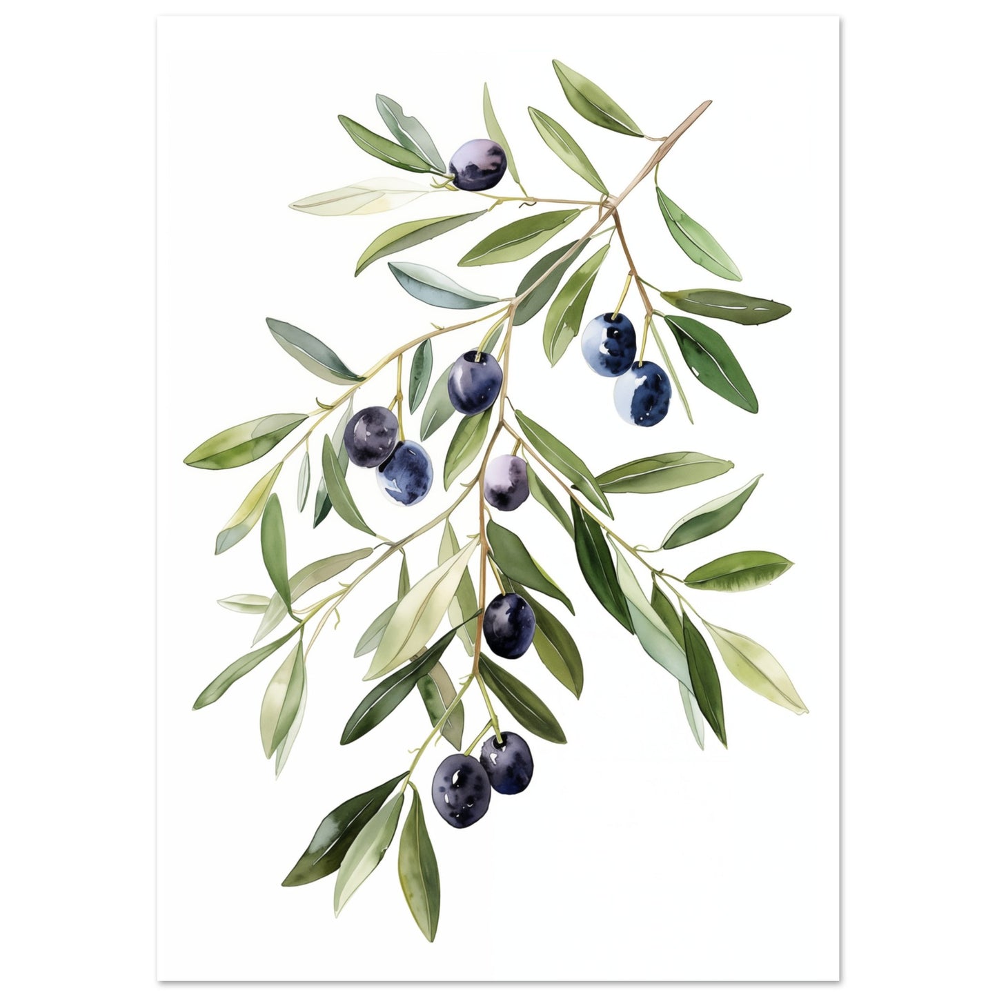 Olive Branch Serenity Poster A4 21x29.7 cm - Pixara