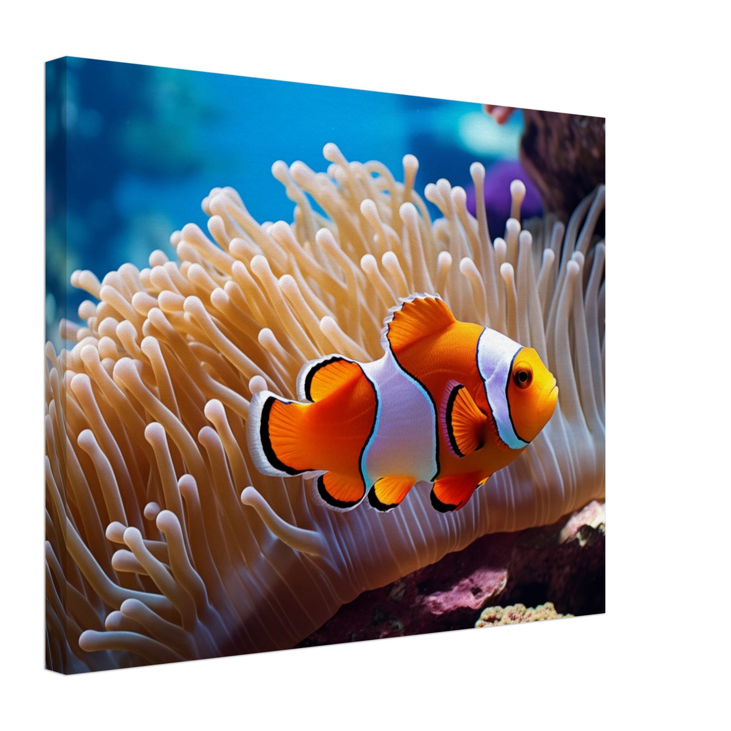 Versteck im Riff Leinwand 40x50 cm - Pixara