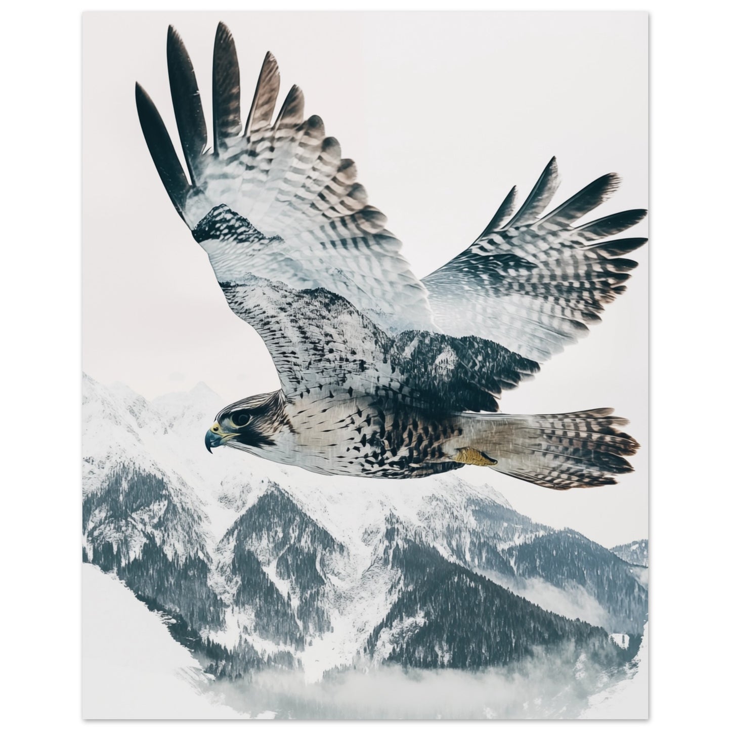 Doppelbelichtung Falke im Flug 40x50 cm - Pixara