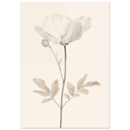 Zarte Blüte A4 21x29.7 cm - Pixara
