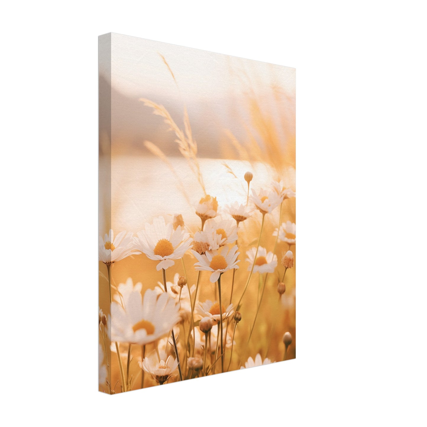 Abendleuchten Leinwand 30x40 cm - Pixara
