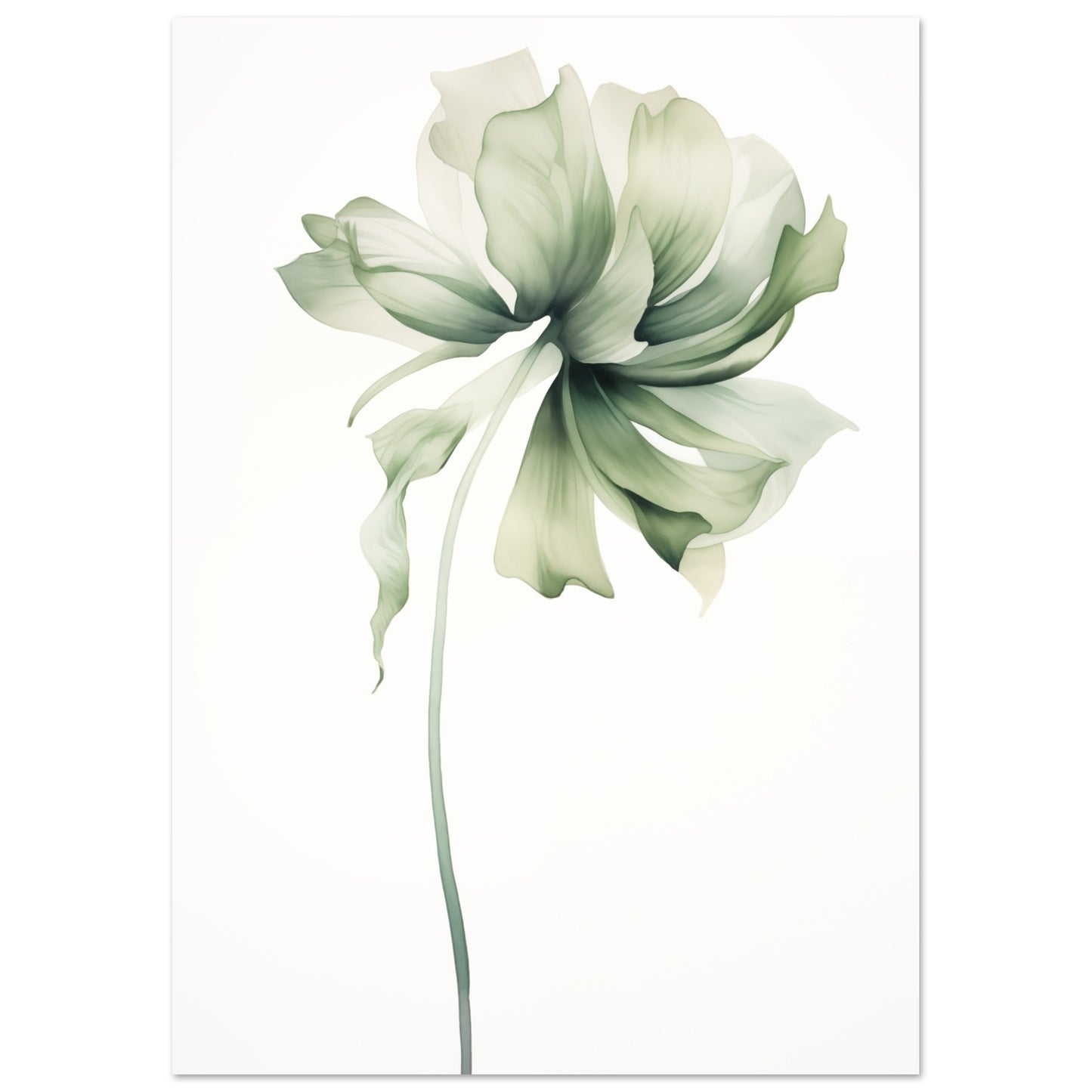Florale Whisper Poster A4 21x29.7 cm - Pixara