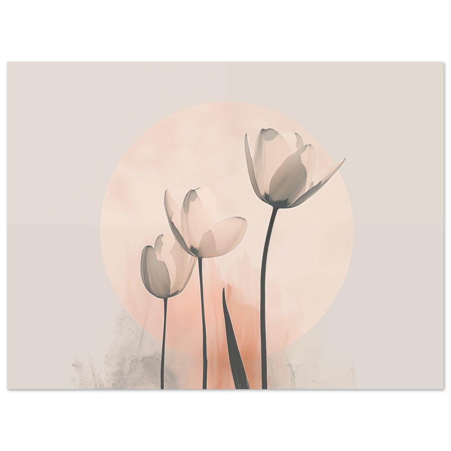 Sanfte Tulpen Poster 30x40 cm - Pixara