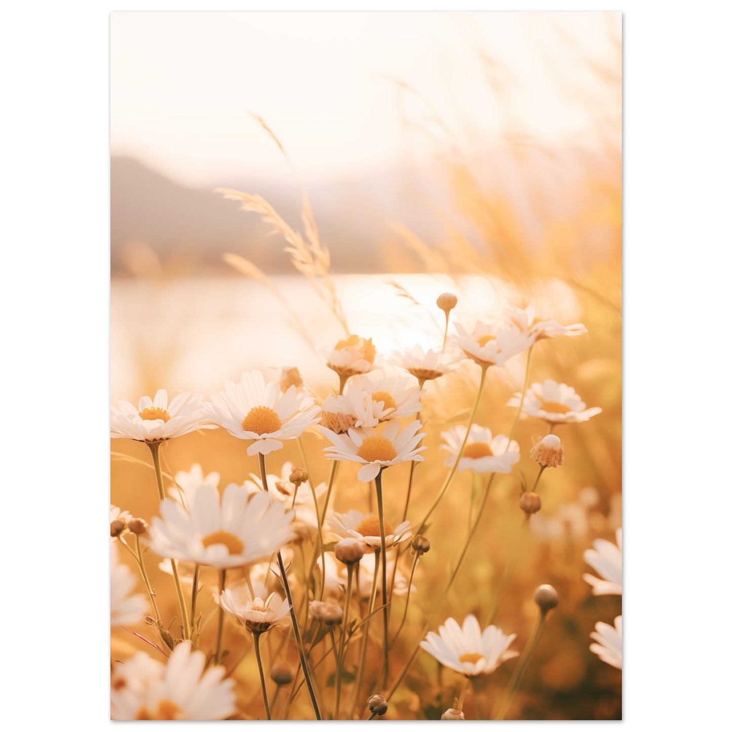 Abendleuchten Poster 13x18 cm - Pixara
