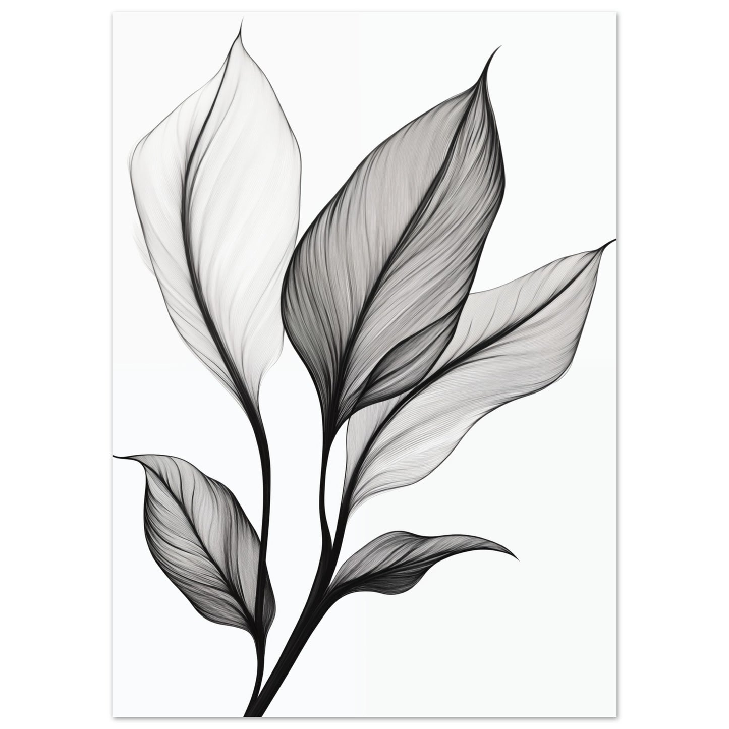 Eleganz der Blätter 50x70 cm - Pixara