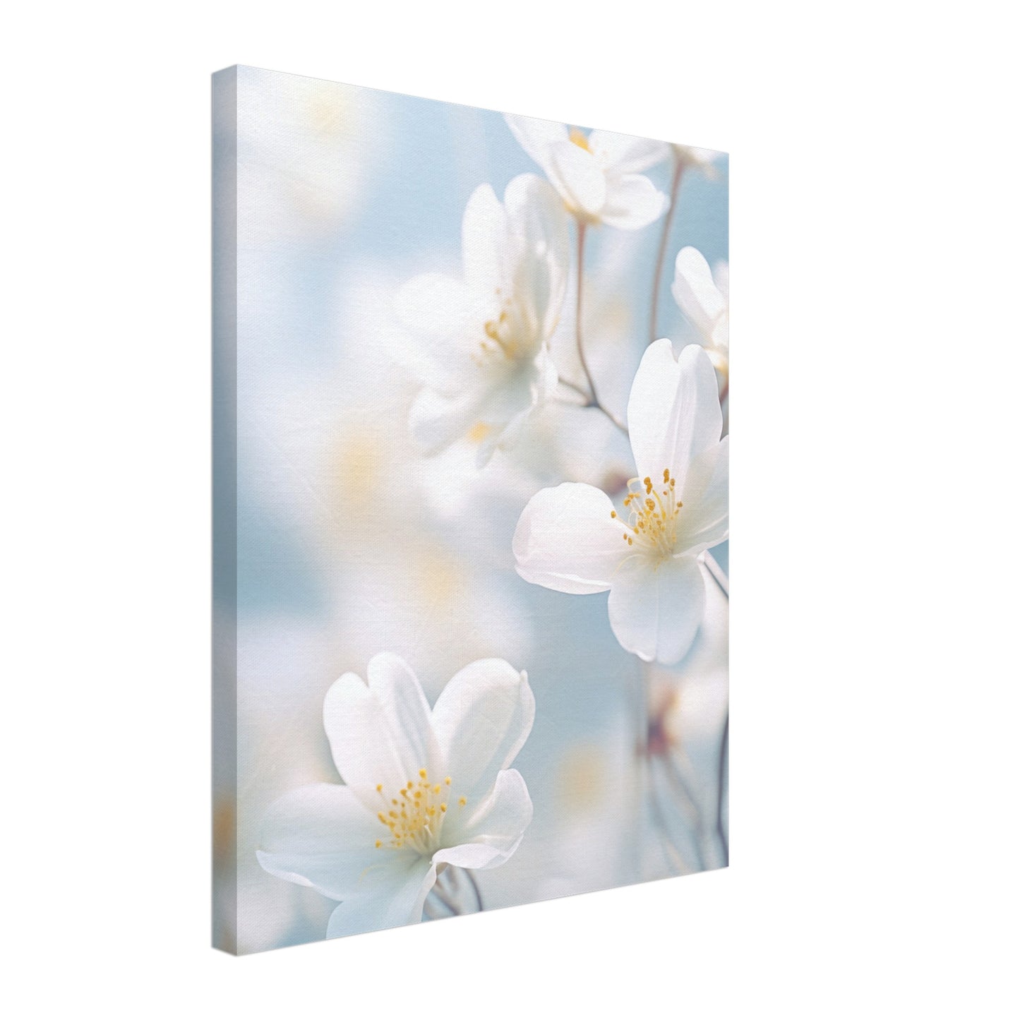 Zartes Erwachen Leinwand 40x50 cm - Pixara