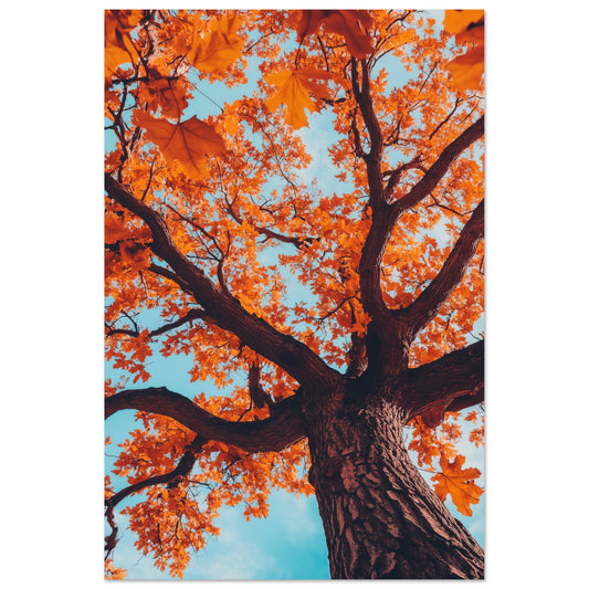 Majestätische Herbst-Eiche 60x90 cm - Pixara