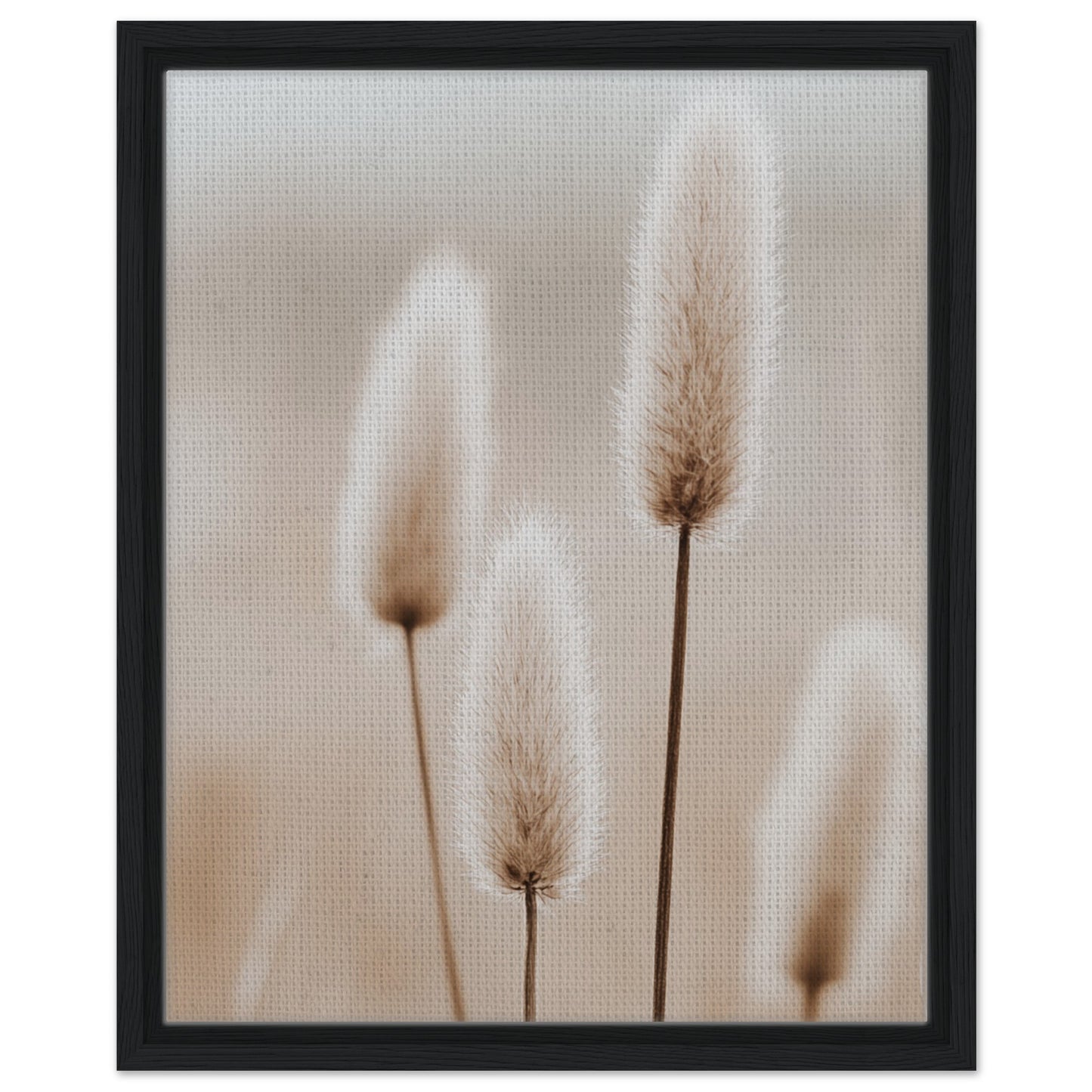Hasenschwanzgräser in sanften Tönen | Gerahmte Leinwand Schwarzer Rahmen 40x50 cm - Pixara