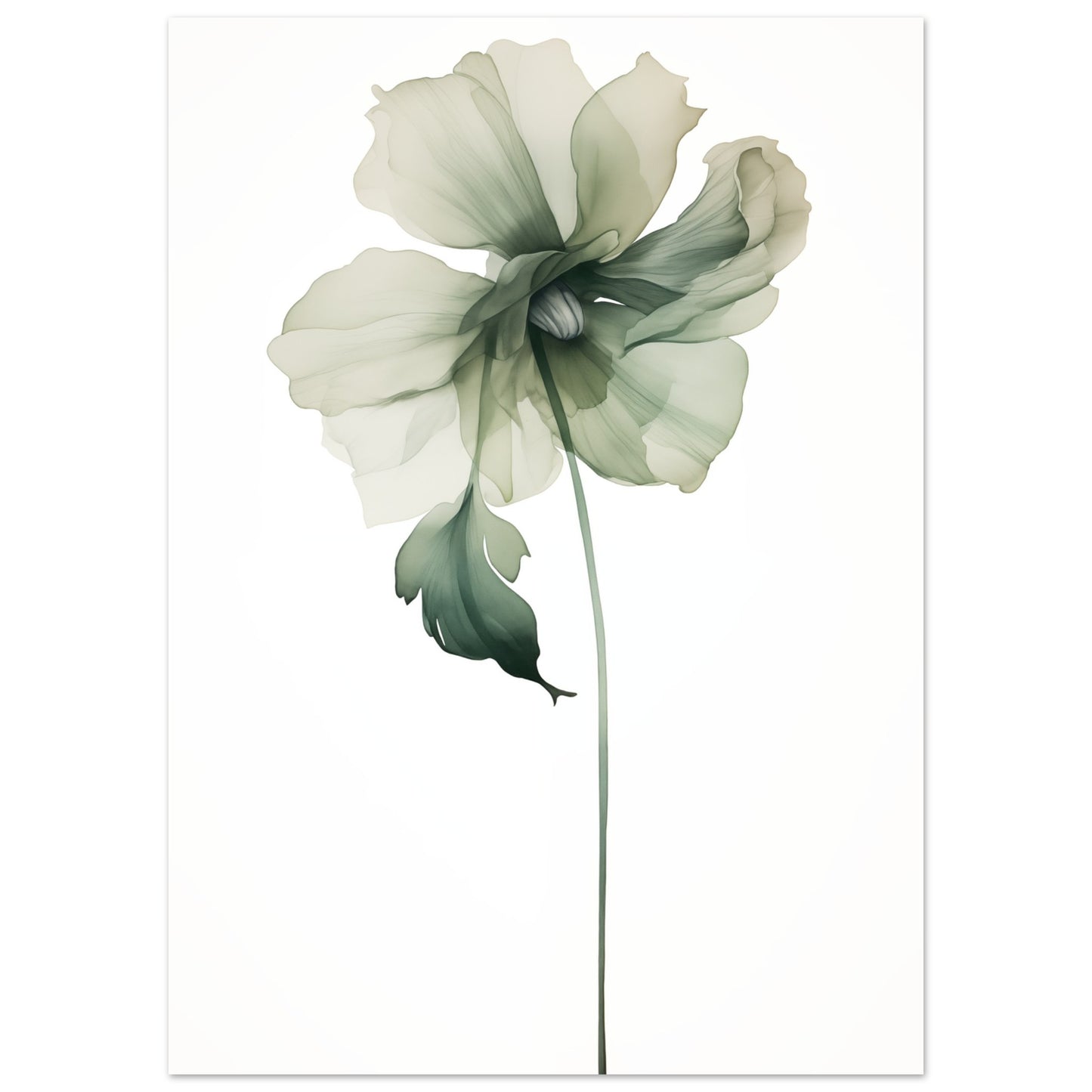 Grüne Anmut Poster 50x70 cm - Pixara