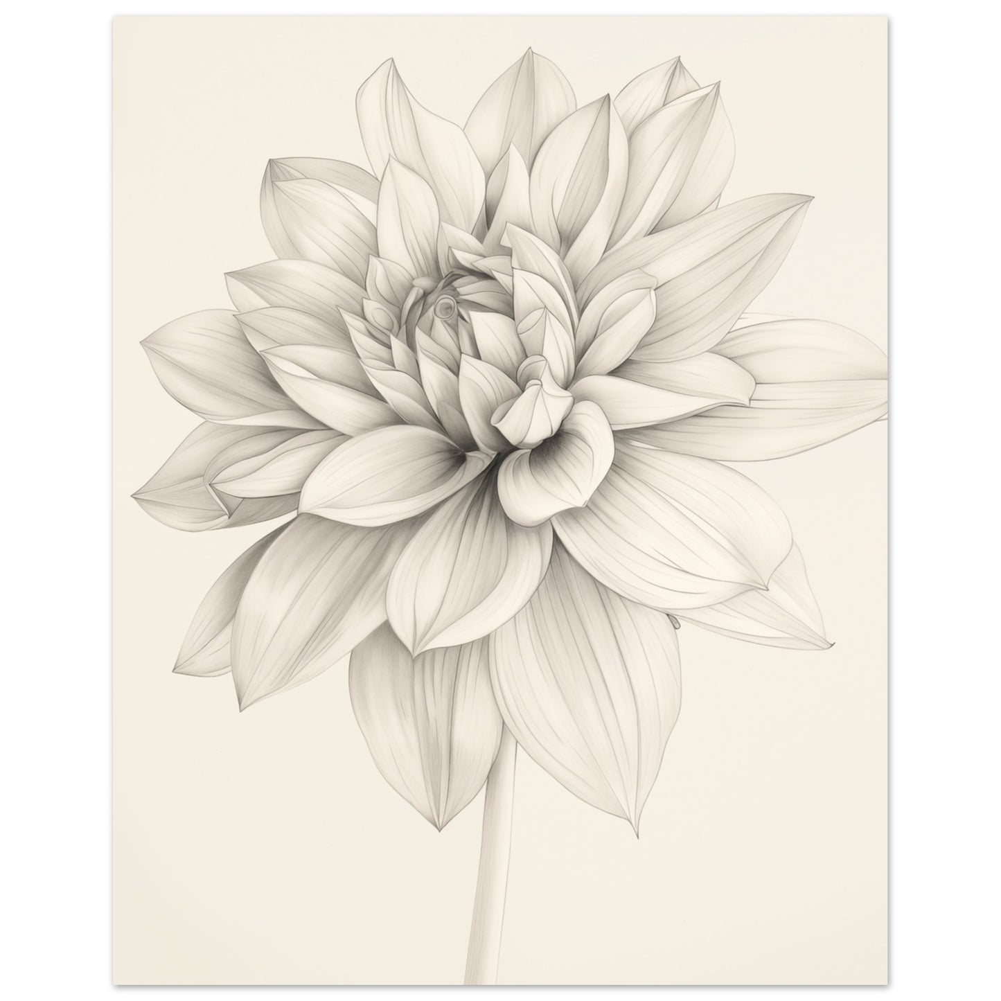 Dahlienzauber 40x50 cm - Pixara