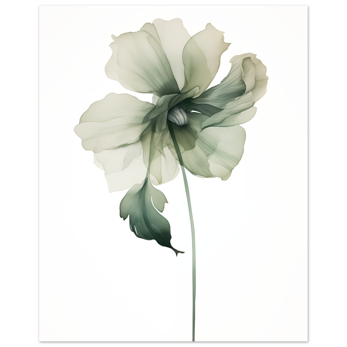 Grüne Anmut Poster 40x50 cm - Pixara