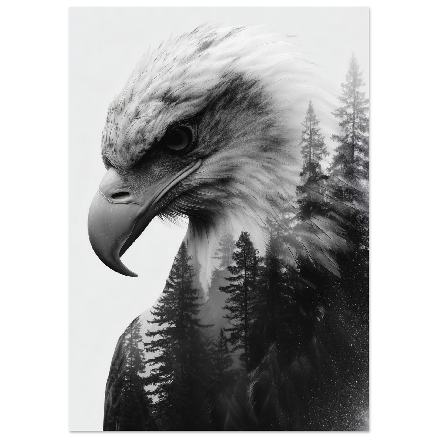 Adler & Wald – Schwarzweiß Doppelbelichtung 21x29.7 cm - Pixara