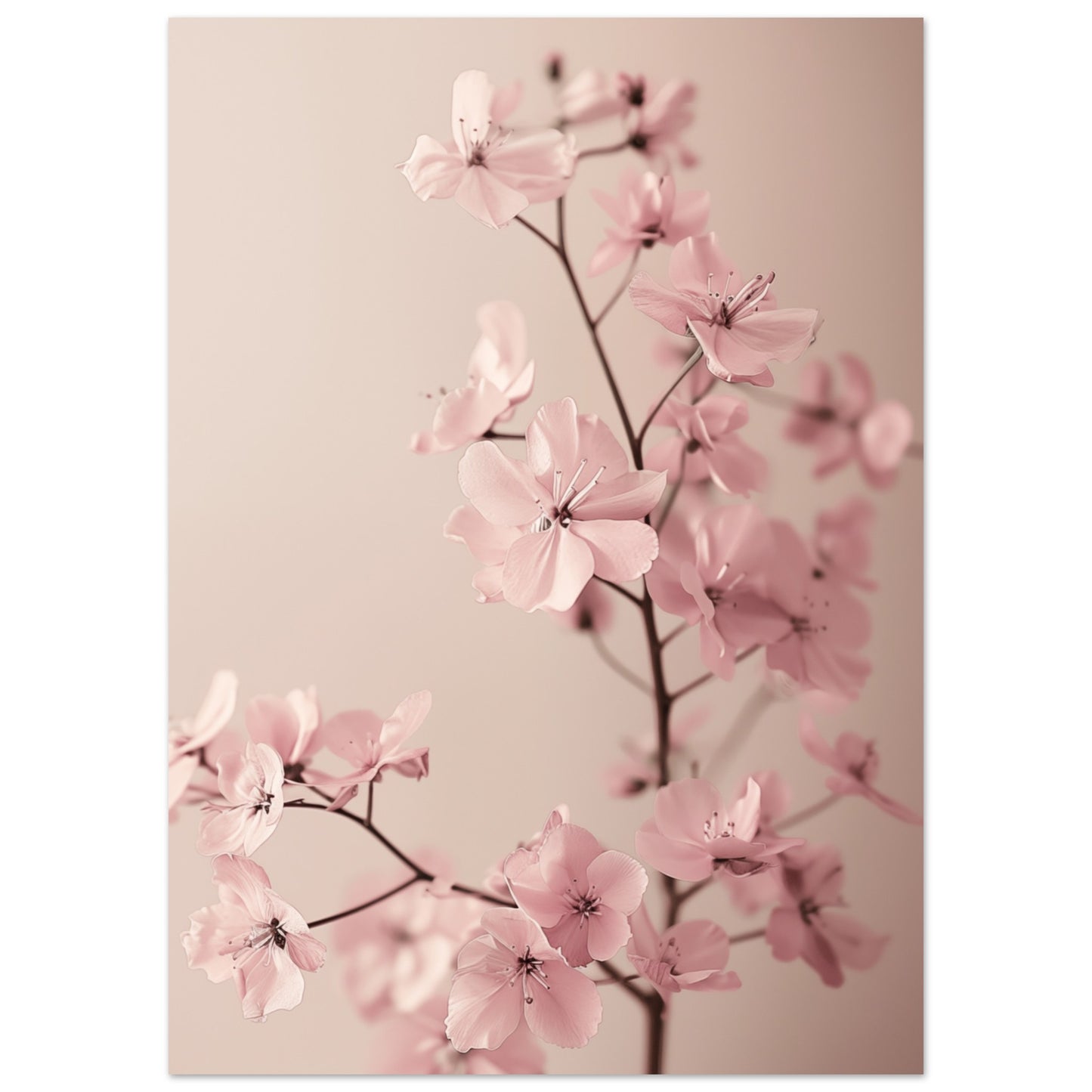 Zarte Blüten 50x70 cm - Pixara