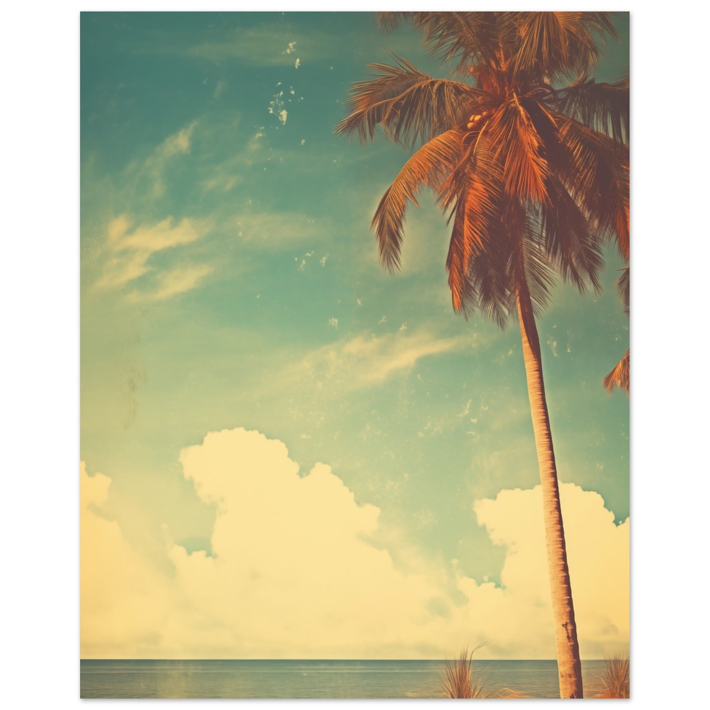 Palmenhimmel 20x25 cm - Pixara