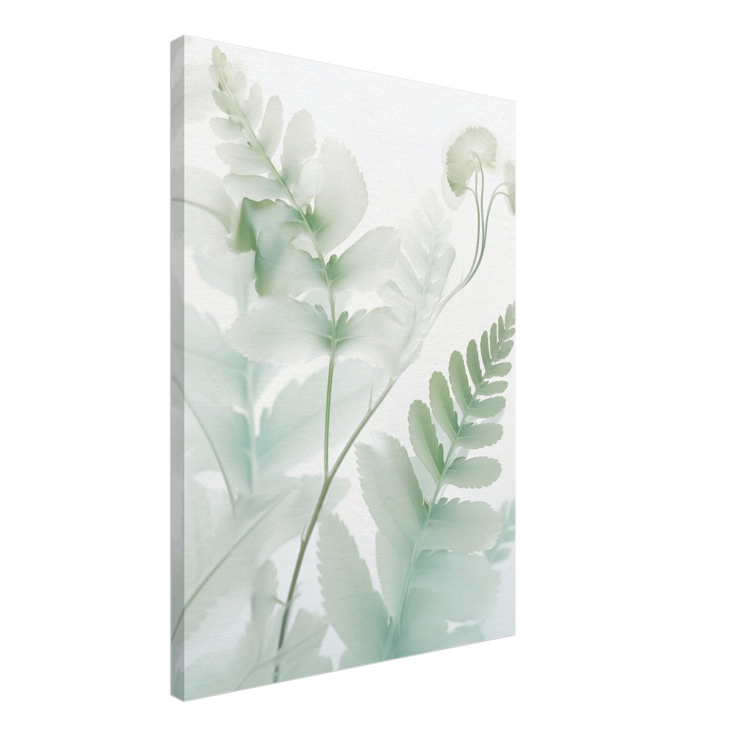 Farn Leinwand 50x70 cm - Pixara