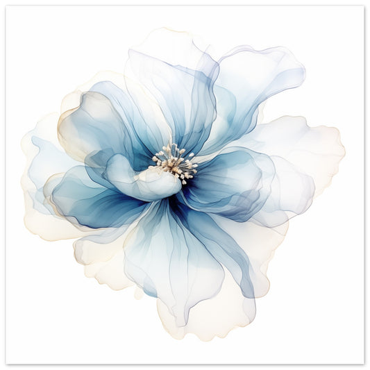 Aquarellblüte in Blau Poster 50x50 cm - Pixara