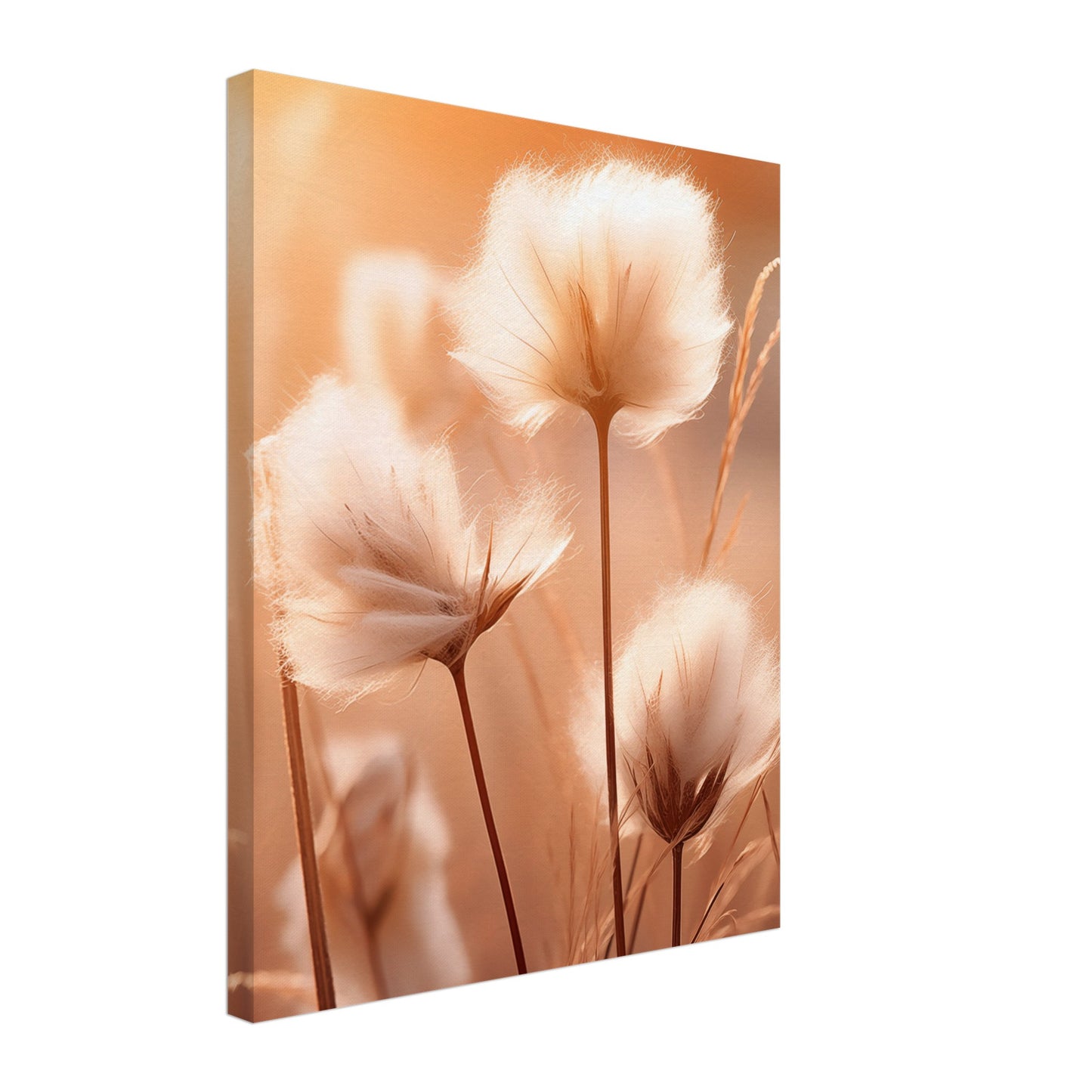 Baumwolle Leinwand 40x50 cm - Pixara