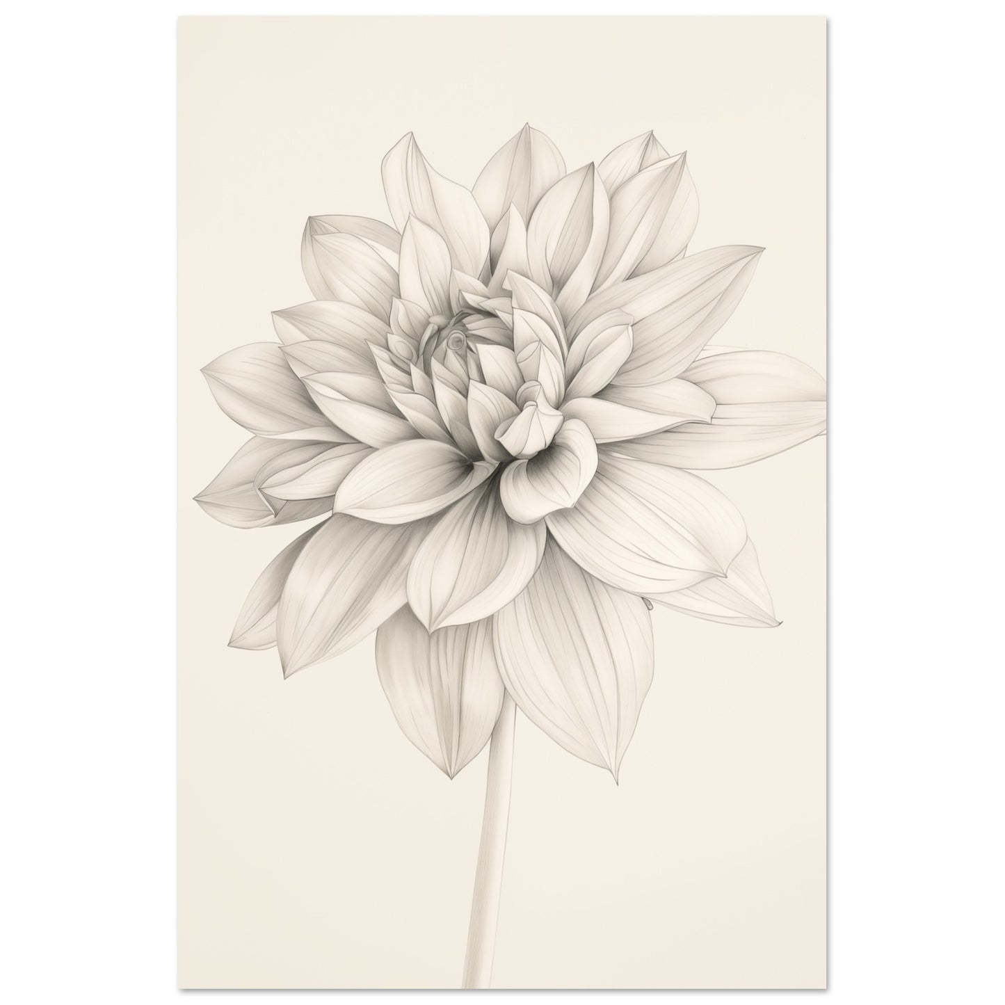 Dahlienzauber 60x90 cm - Pixara