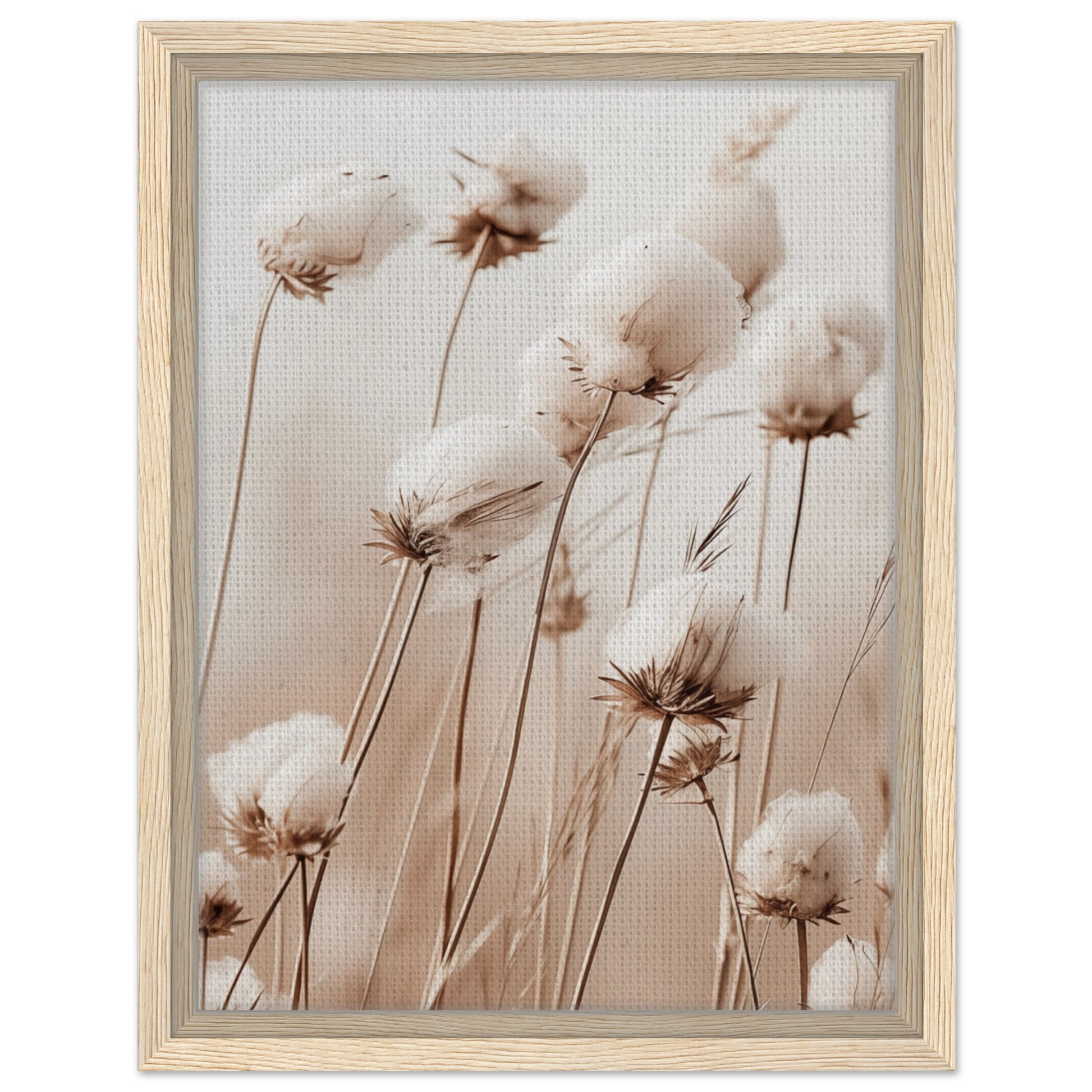 Flauschige Baumwollblumen | Gerahmte Leinwand Holzrahmen 30x40 cm - Pixara