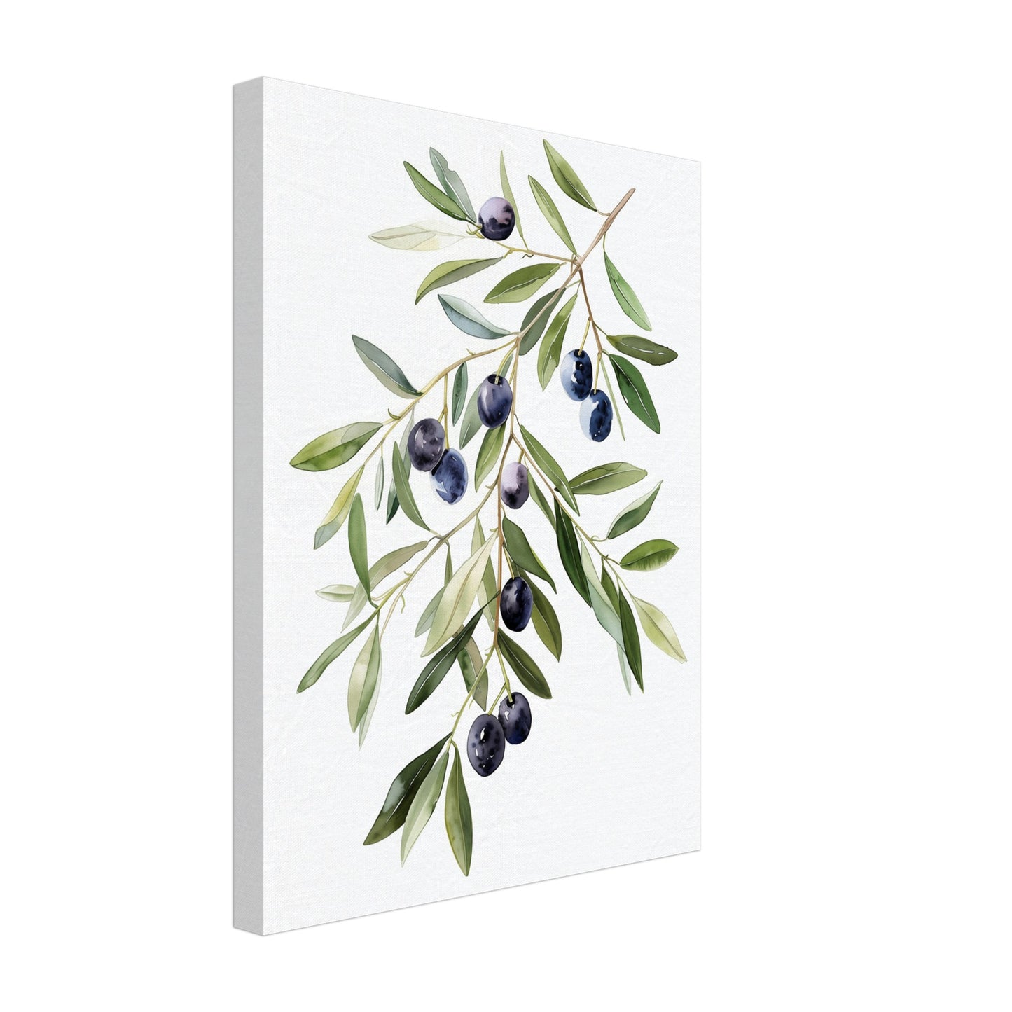 Olive Branch Serenity Leinwand 30x40 cm - Pixara