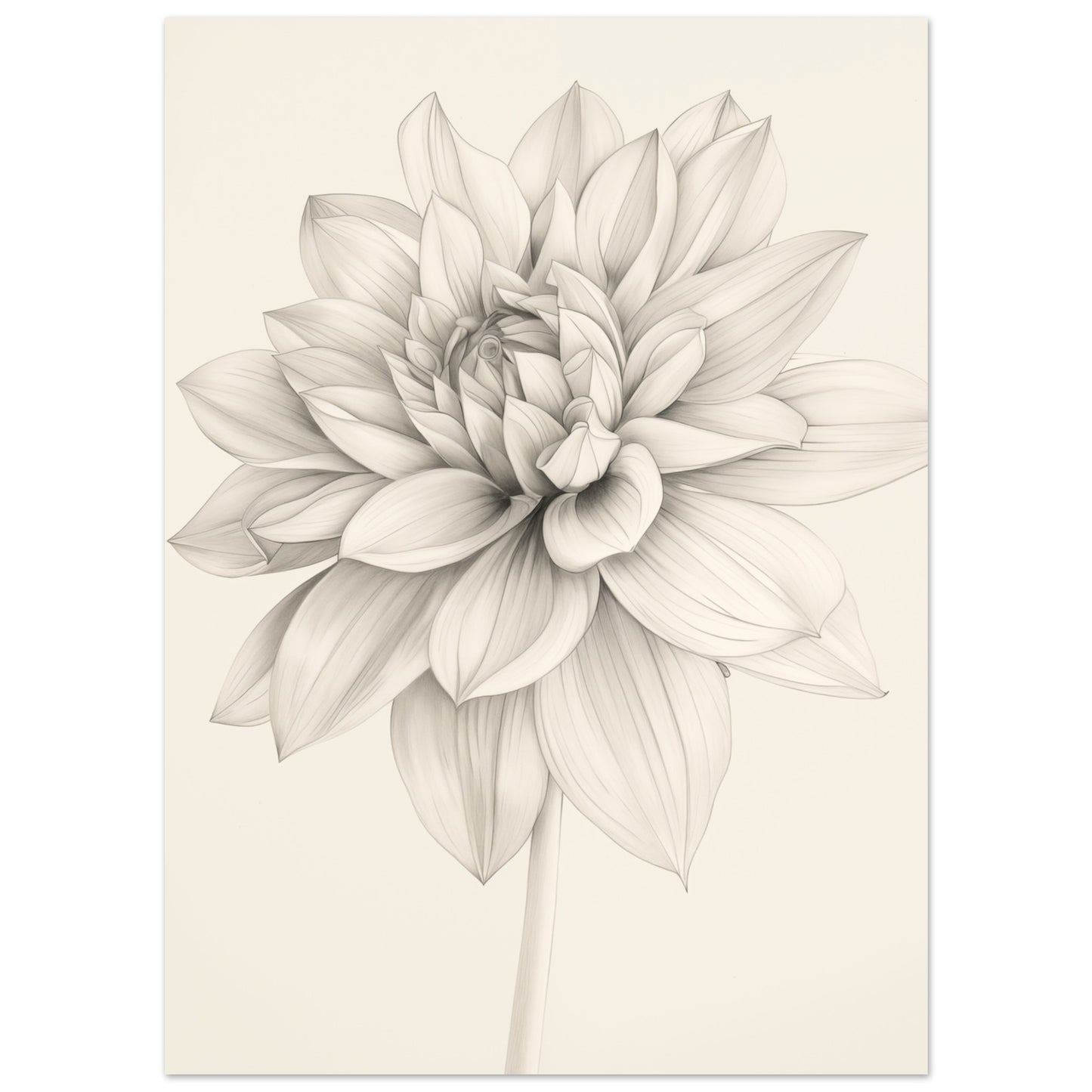 Dahlienzauber 13x18 cm - Pixara