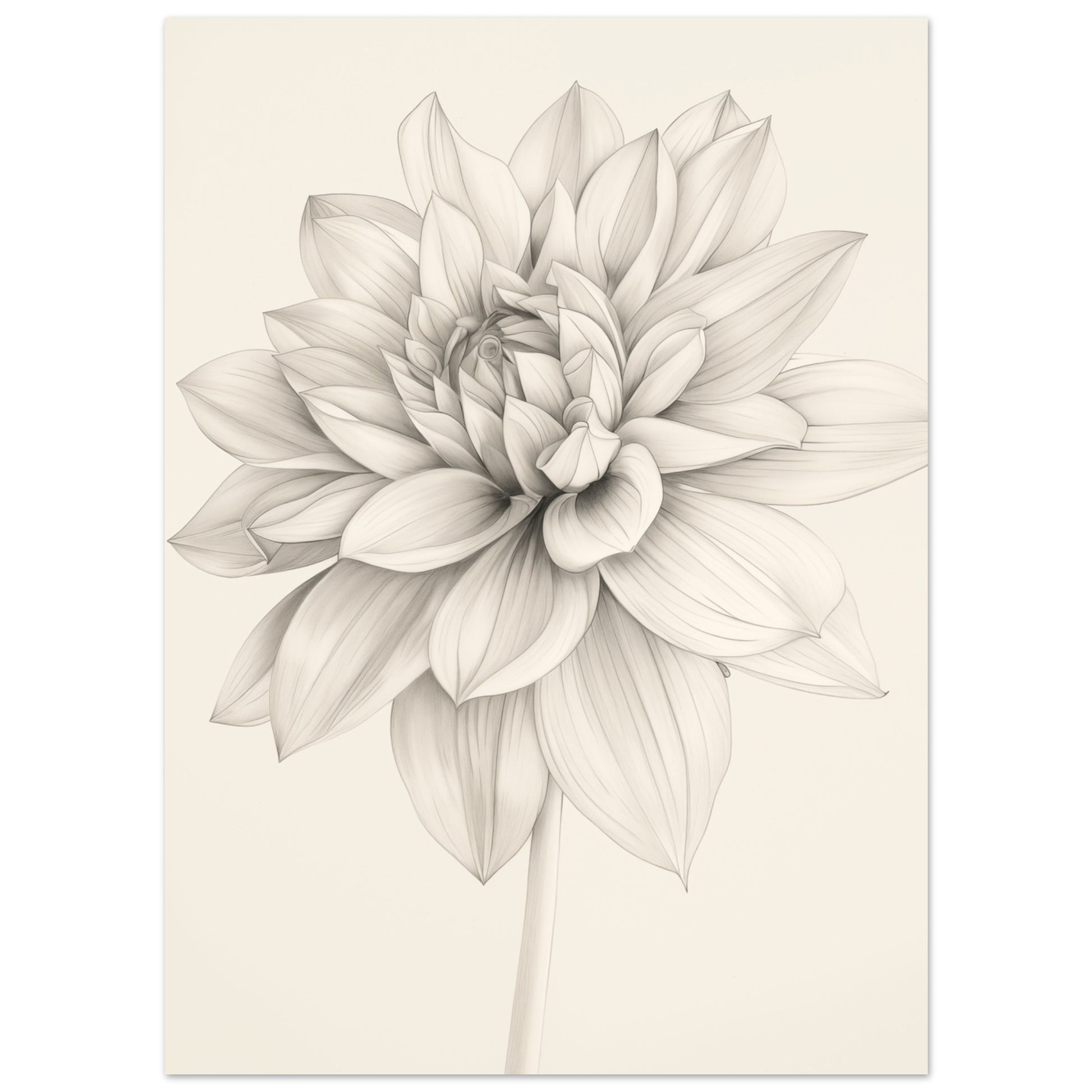 Dahlienzauber 13x18 cm - Pixara