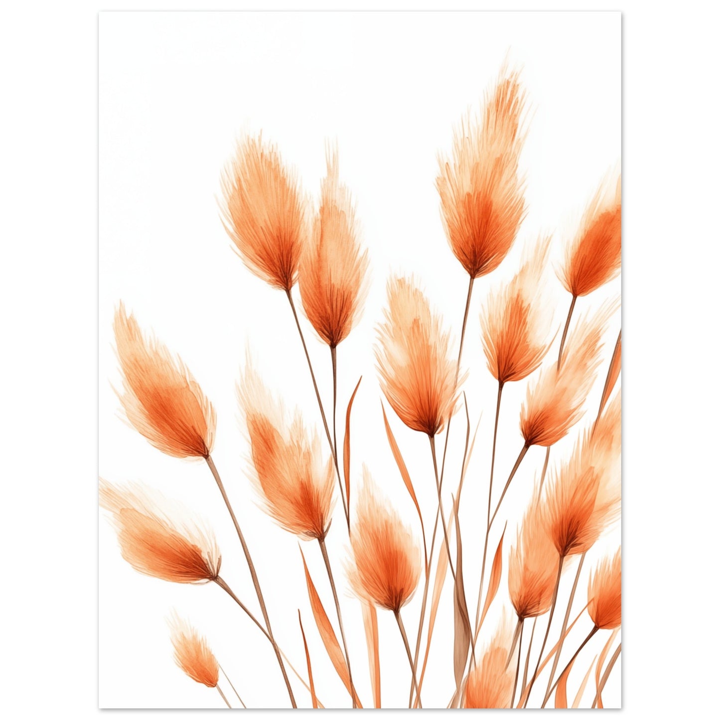 Orangene Hasenschwanzgräser 30x40 cm - Pixara