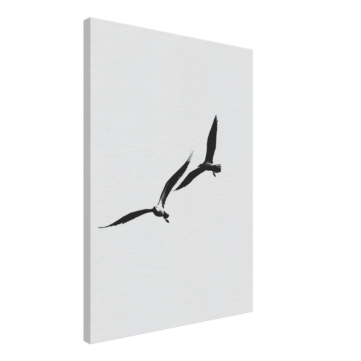Schwarzer Flug Leinwand 50x70 cm - Pixara