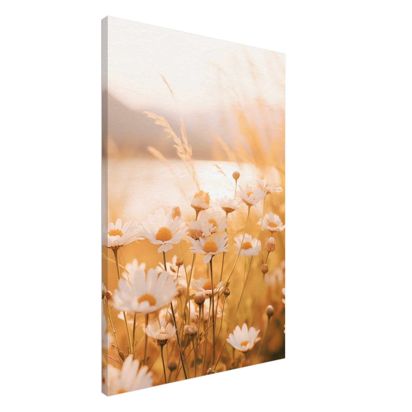 Abendleuchten Leinwand 60x90 cm - Pixara