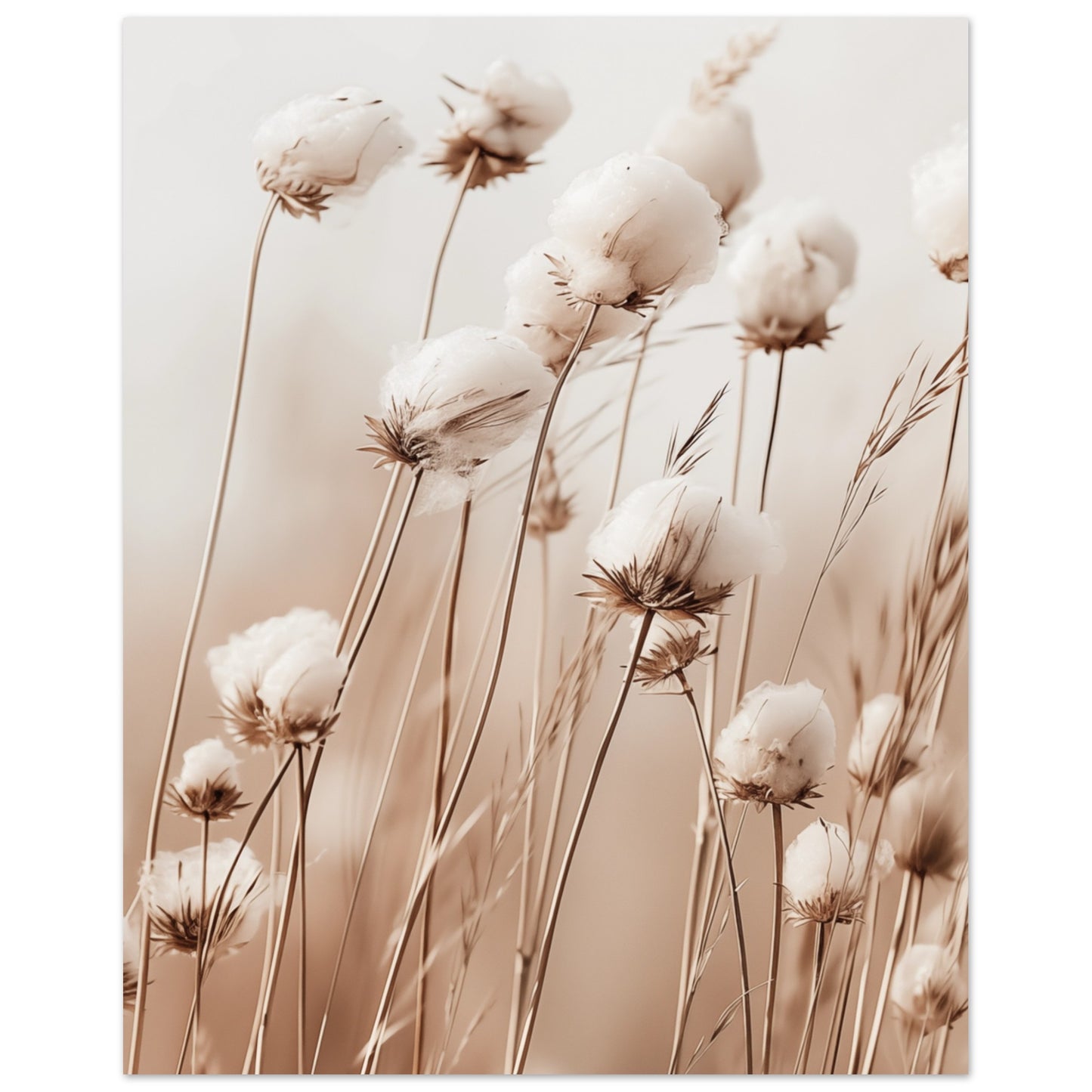 Flauschige Baumwollblumen 40x50 cm - Pixara
