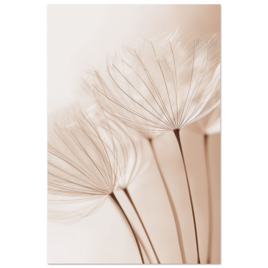 Zarte Pusteblume 60x90 cm - Pixara