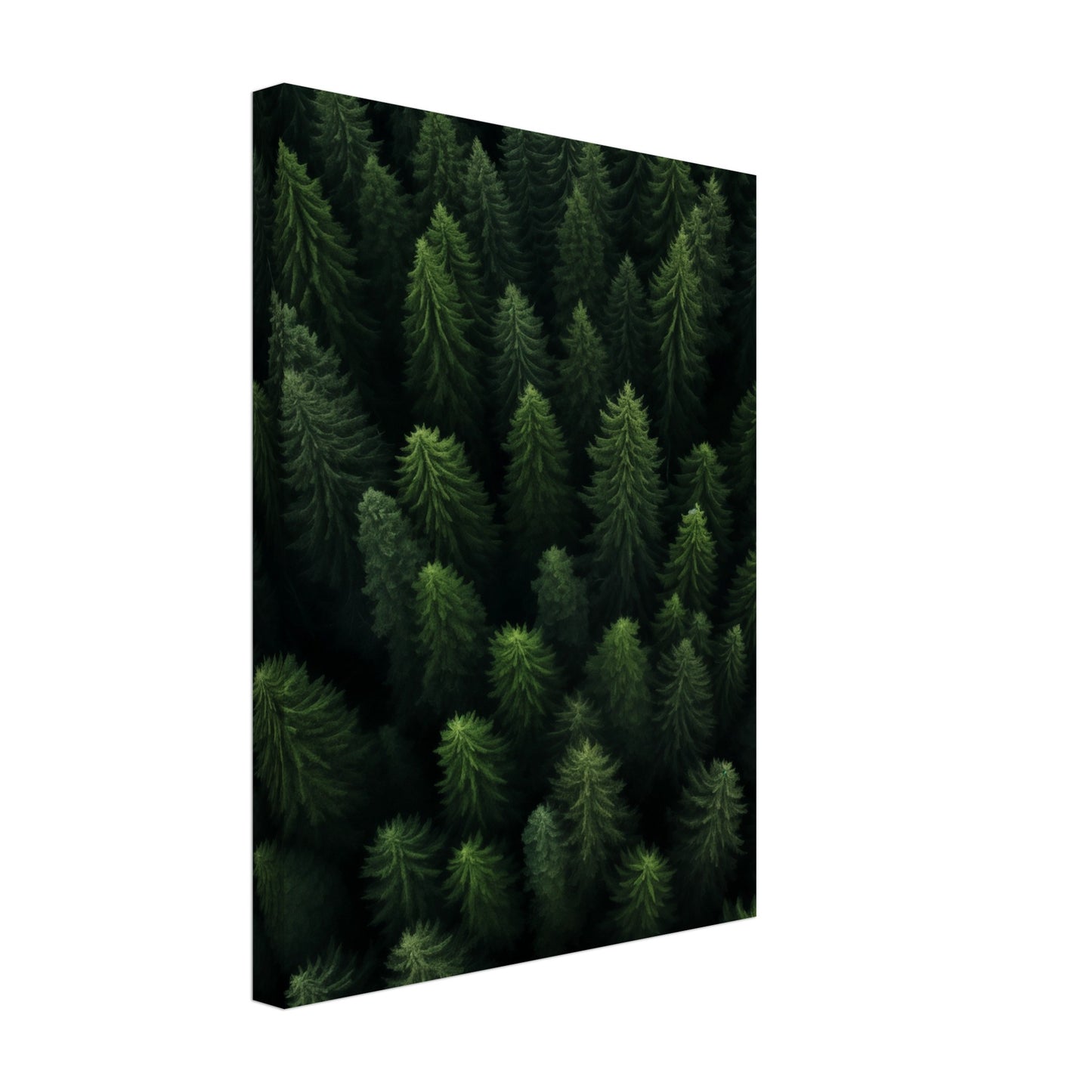 Wald von oben Leinwand 30x40 cm - Pixara