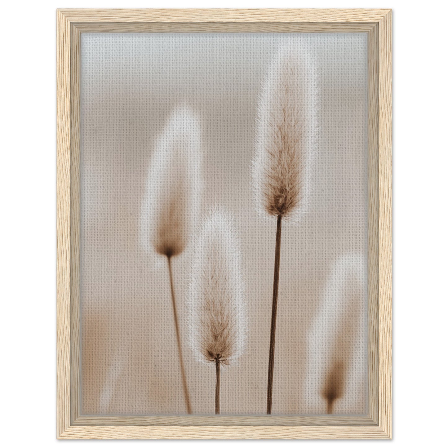 Hasenschwanzgräser in sanften Tönen | Gerahmte Leinwand Holzrahmen 30x40 cm - Pixara