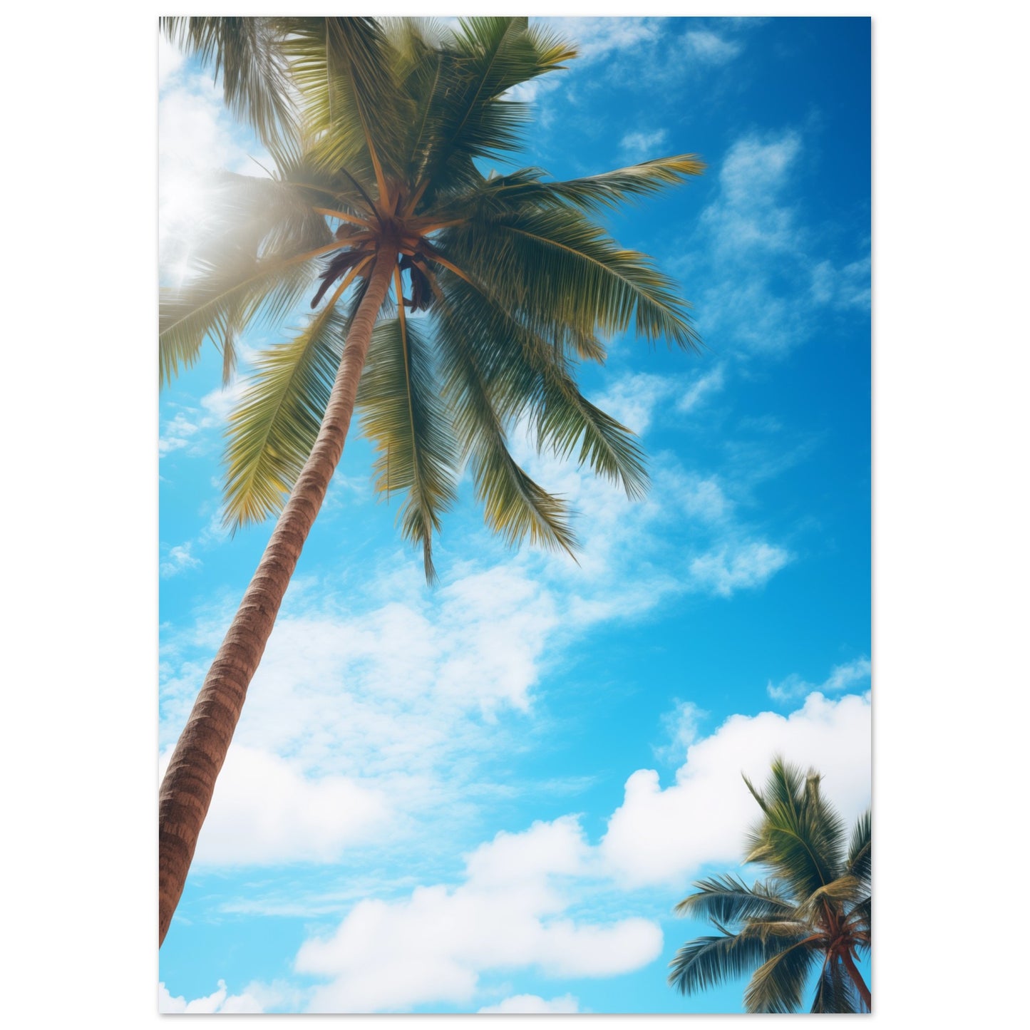 Himmelshoch Poster 50x70 cm - Pixara