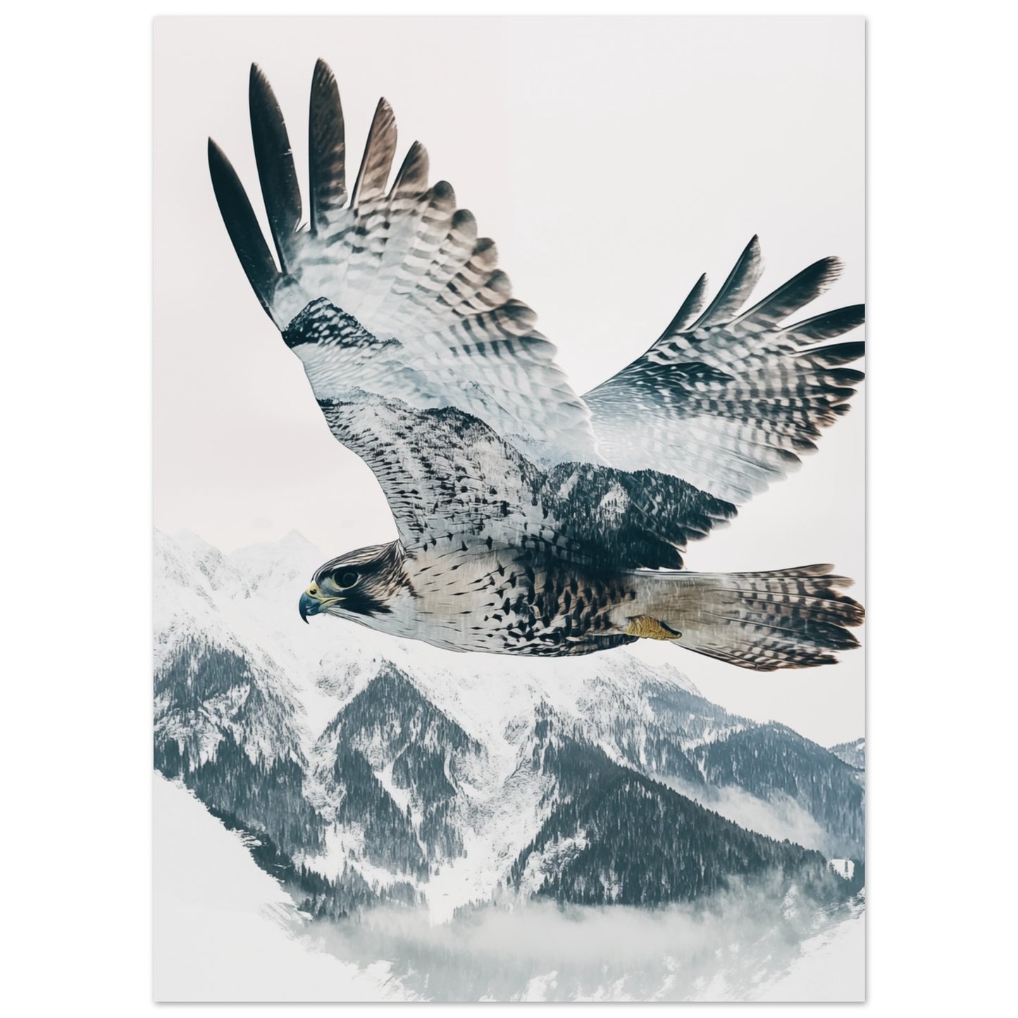 Doppelbelichtung Falke im Flug 13x18 cm - Pixara