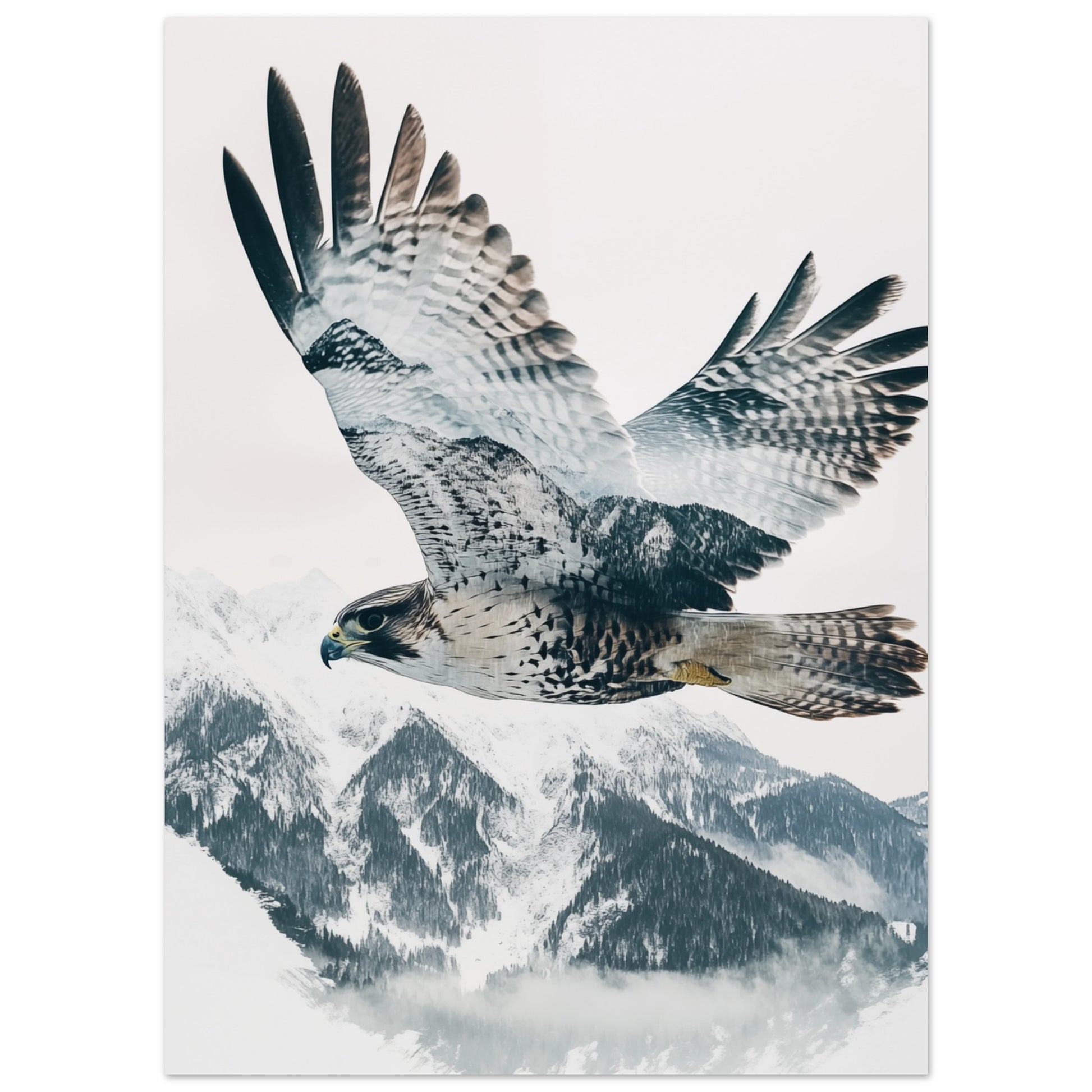 Doppelbelichtung Falke im Flug 13x18 cm - Pixara